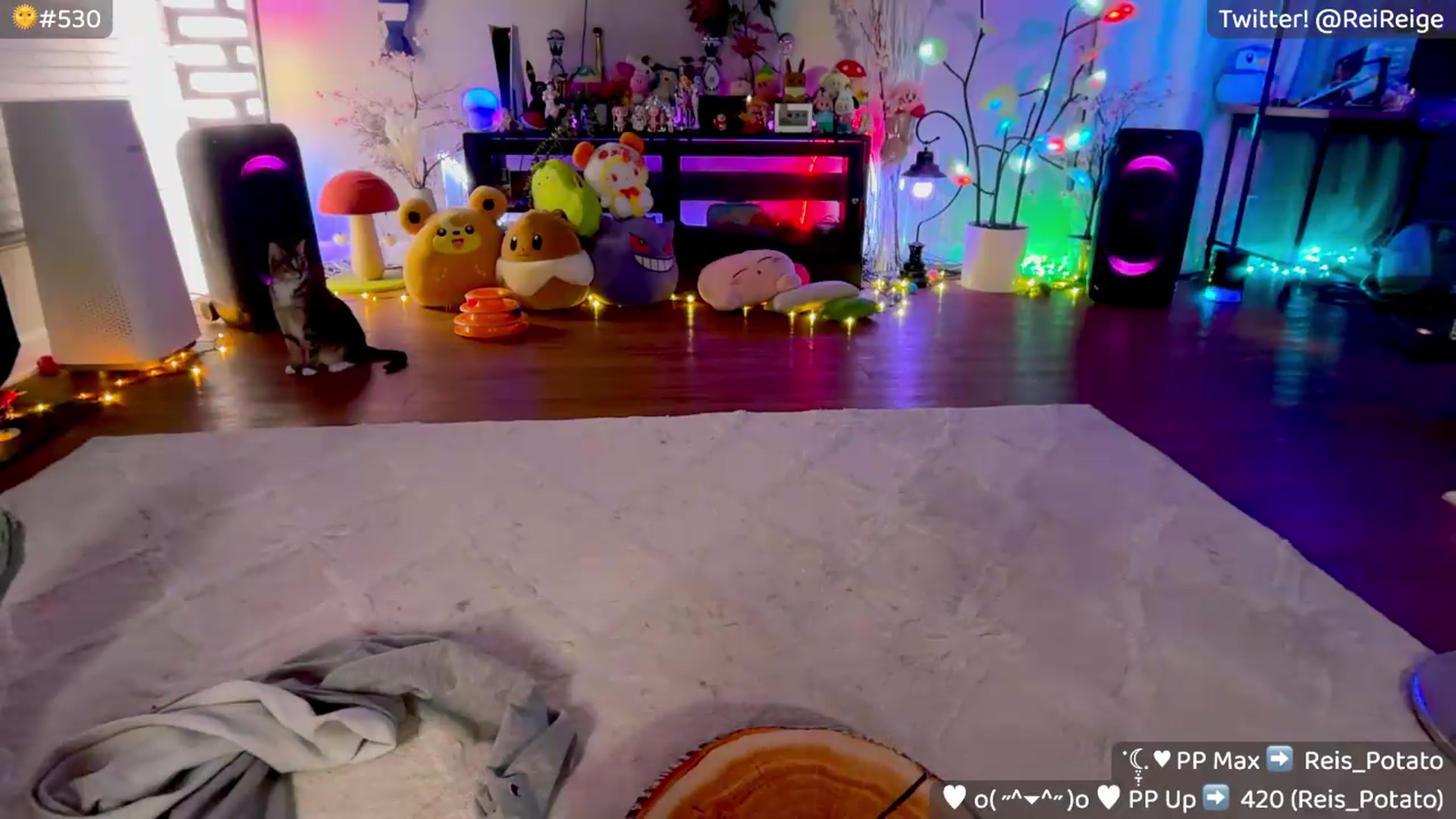 Gallery image thumbnail from Reige's myfreecams stream on, 08/04/2026, 10:53 image 8 of 20