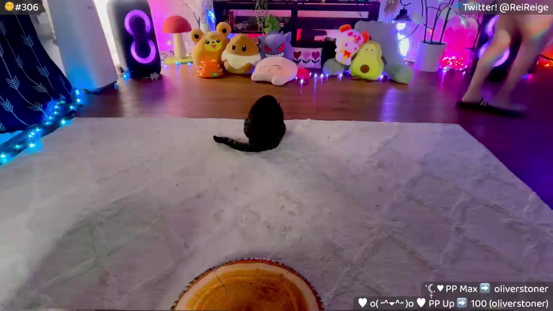 Gallery image thumbnail from Reige's myfreecams stream on, 08/20/2026, 08:30 image 13 of 20