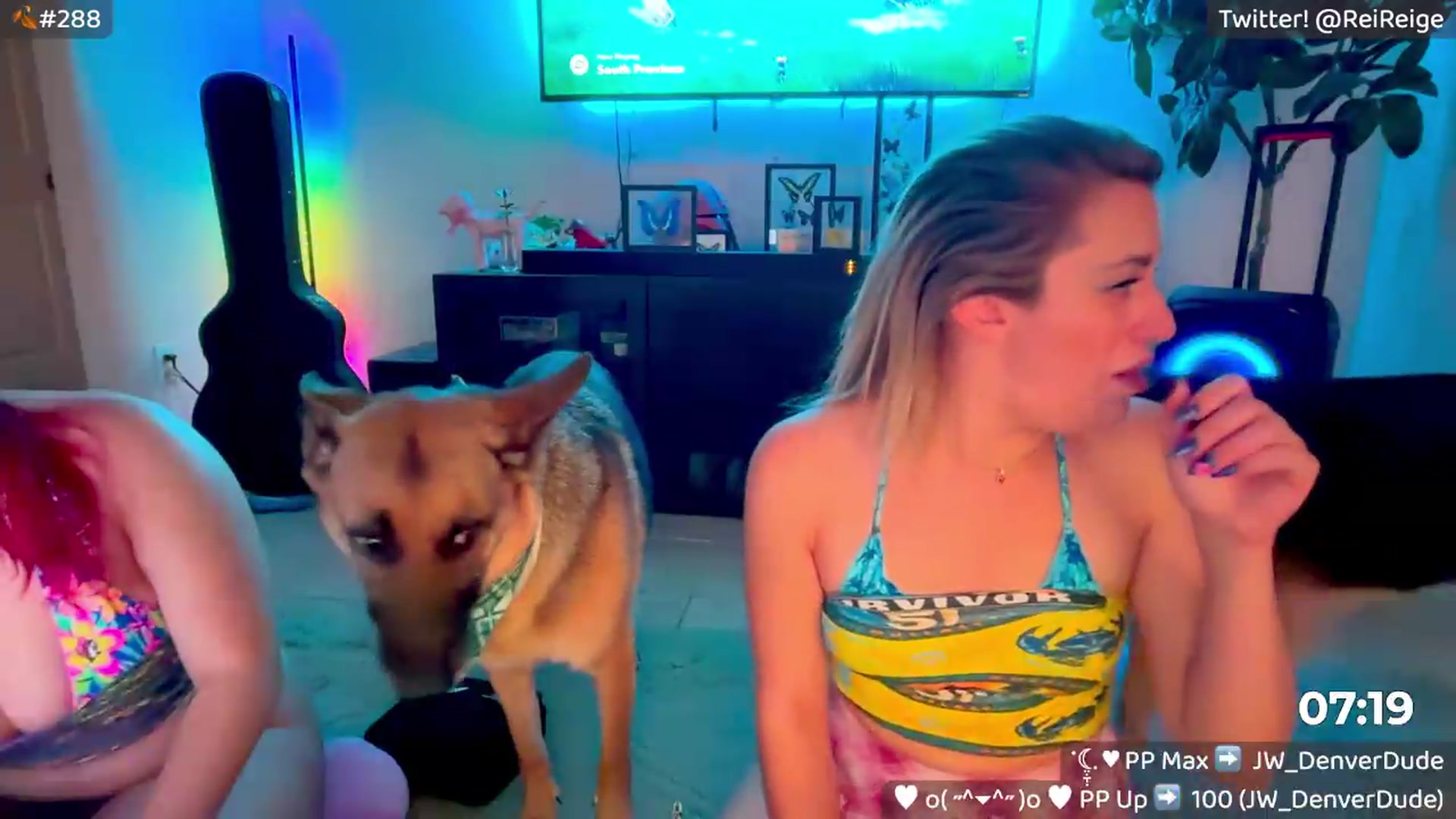 Gallery image thumbnail from Reige's myfreecams stream on, 09/25/2026, 09:25 image 4 of 20