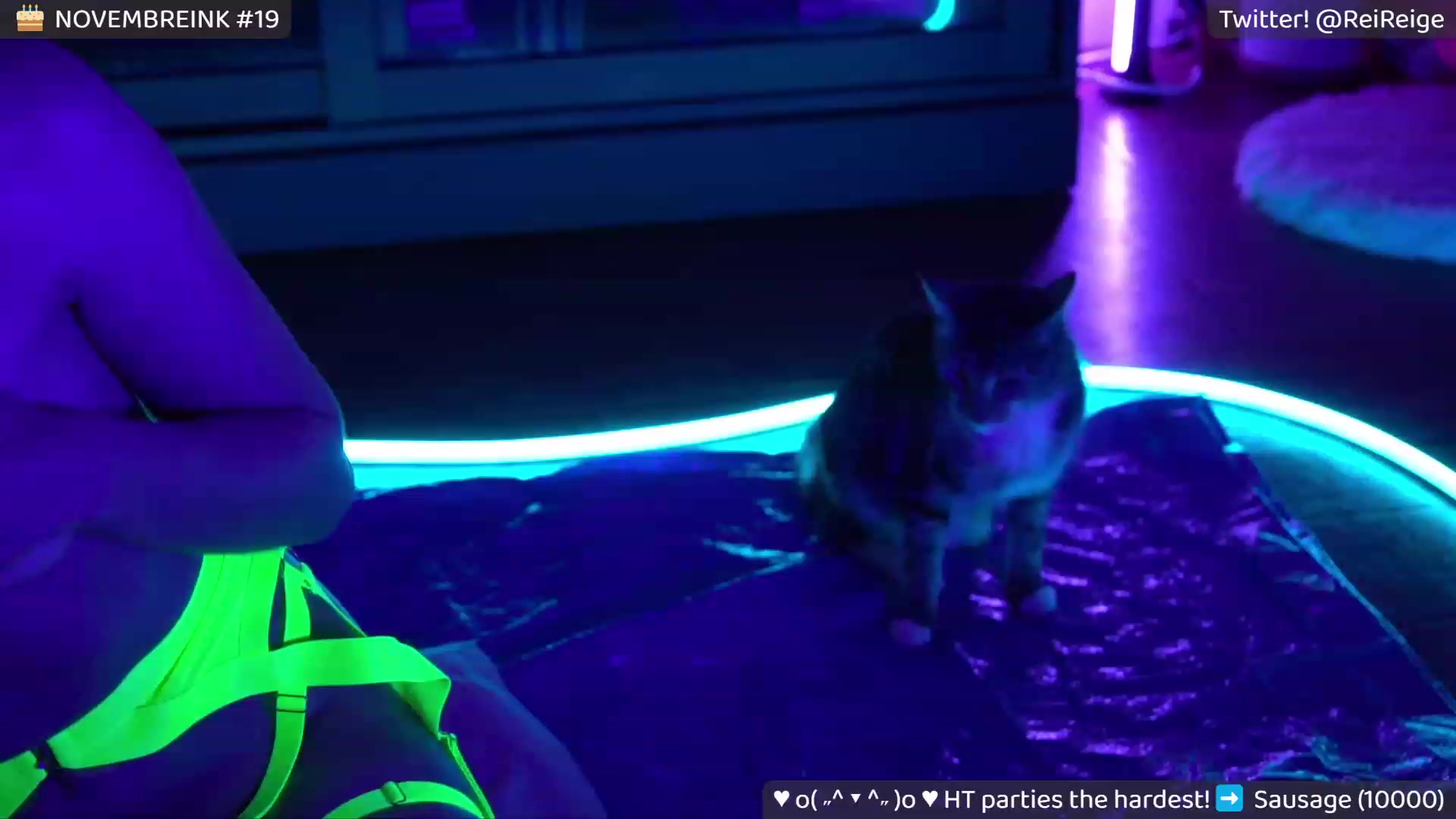 Gallery image thumbnail from Reive's myfreecams stream on, 11/19/2023, 12:41 image 15 of 20