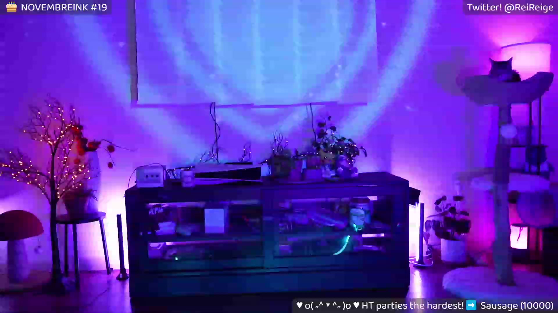 Gallery image thumbnail from Reive's myfreecams stream on, 11/19/2023, 12:41 image 5 of 20