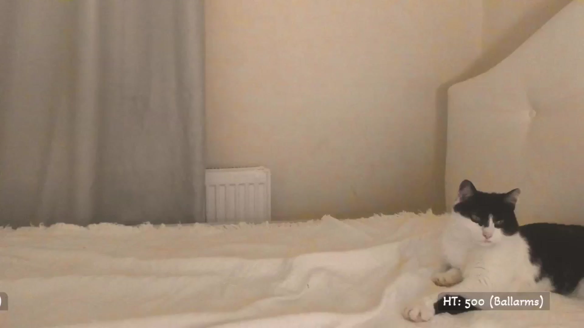Gallery image thumbnail from Relax_'s myfreecams stream on, 04/14/2025, 02:01 image 12 of 20