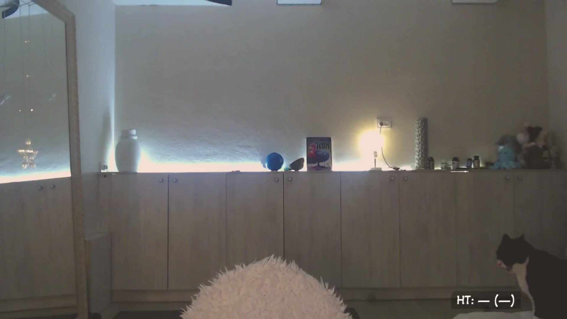 Gallery image thumbnail from Relax_'s myfreecams stream on, 08/19/2025, 24:21 image 16 of 20