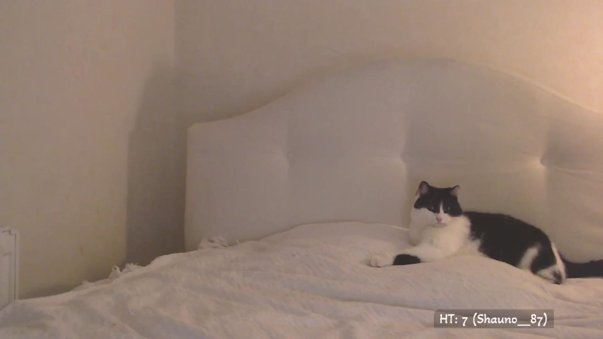 Gallery image thumbnail from Relax_'s myfreecams stream on, 08/27/2025, 01:37 image 7 of 20