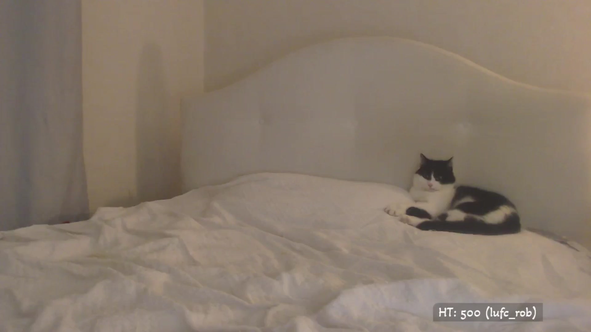 Gallery image thumbnail from Relax_'s myfreecams stream on, 09/04/2025, 01:42 image 13 of 20