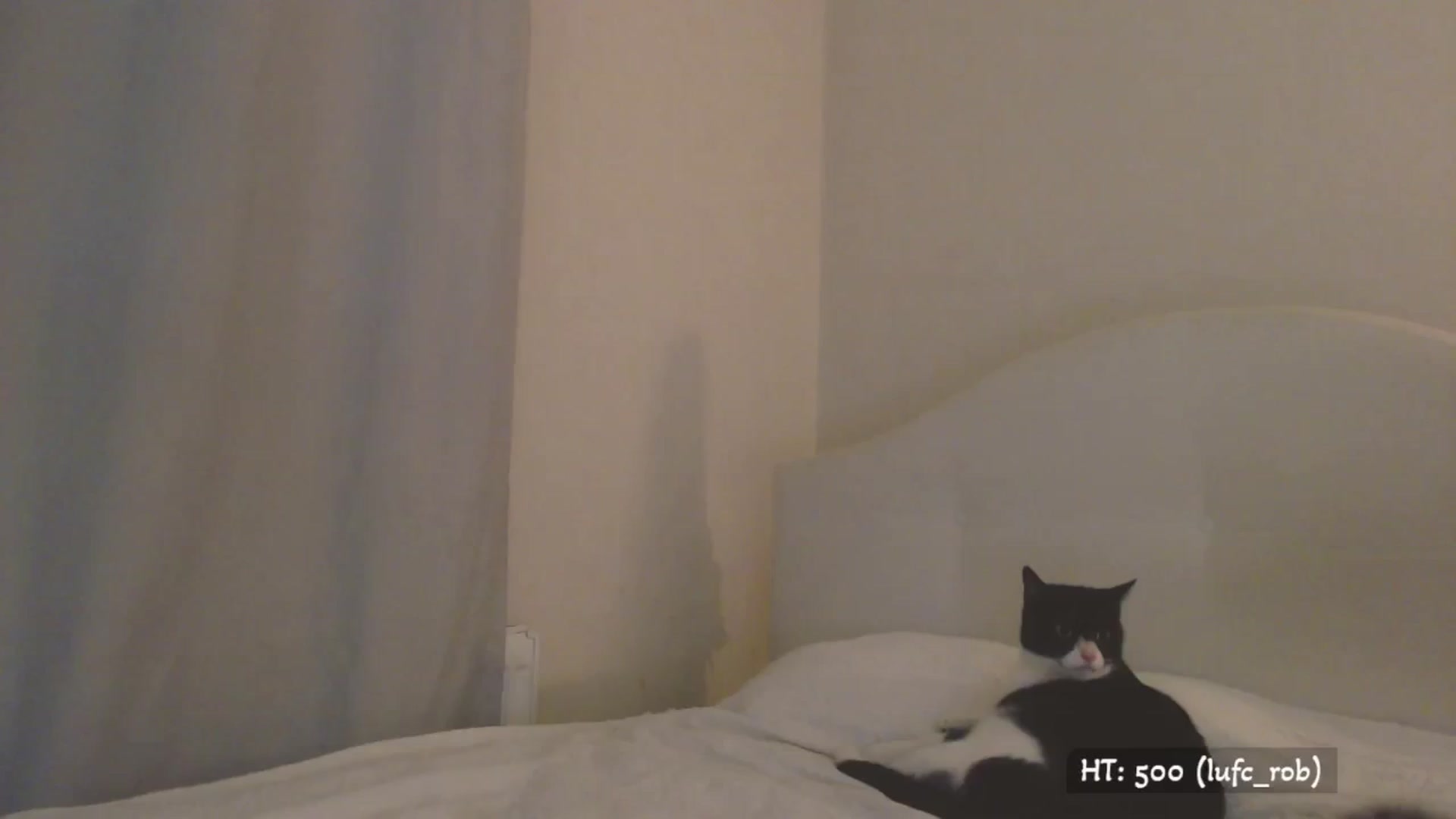 Gallery image thumbnail from Relax_'s myfreecams stream on, 09/07/2025, 01:08 image 10 of 20