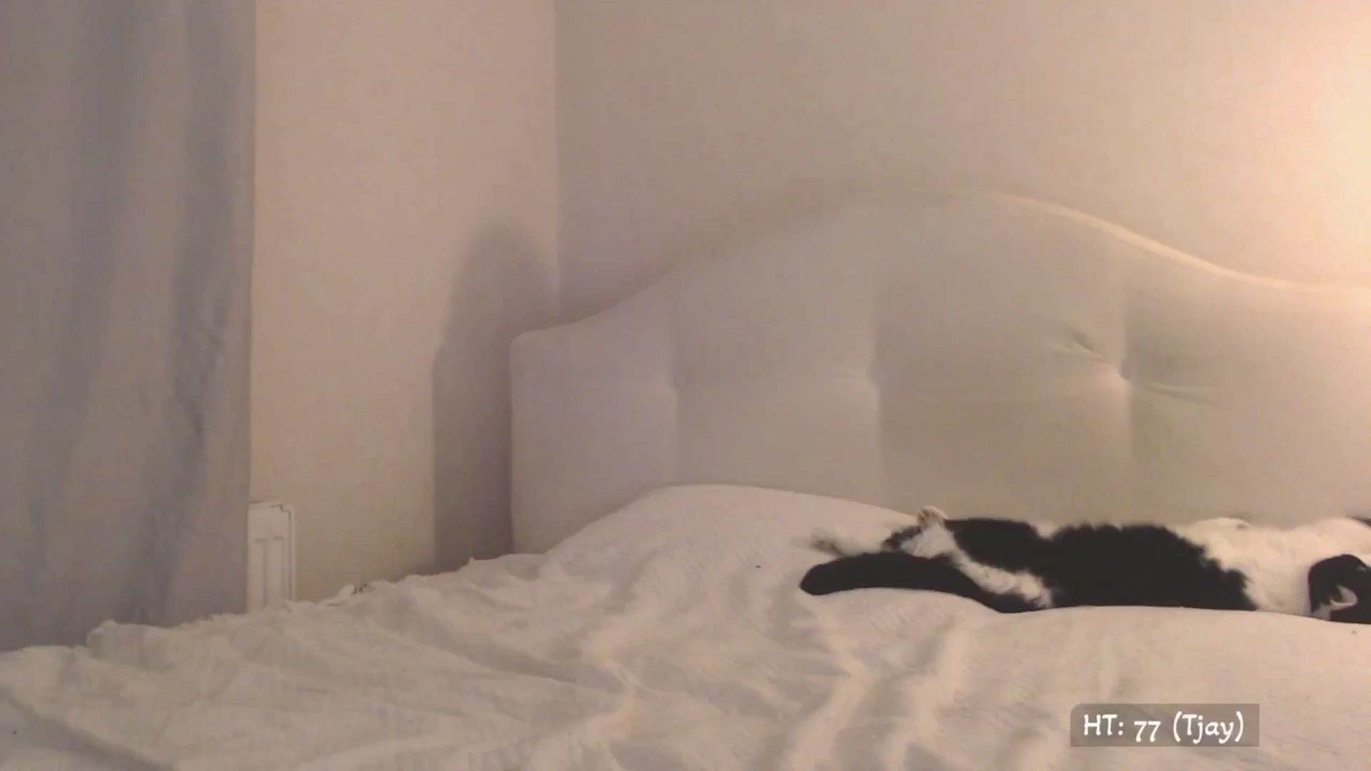 Gallery image thumbnail from Relax_'s myfreecams stream on, 09/14/2025, 02:14 image 12 of 20