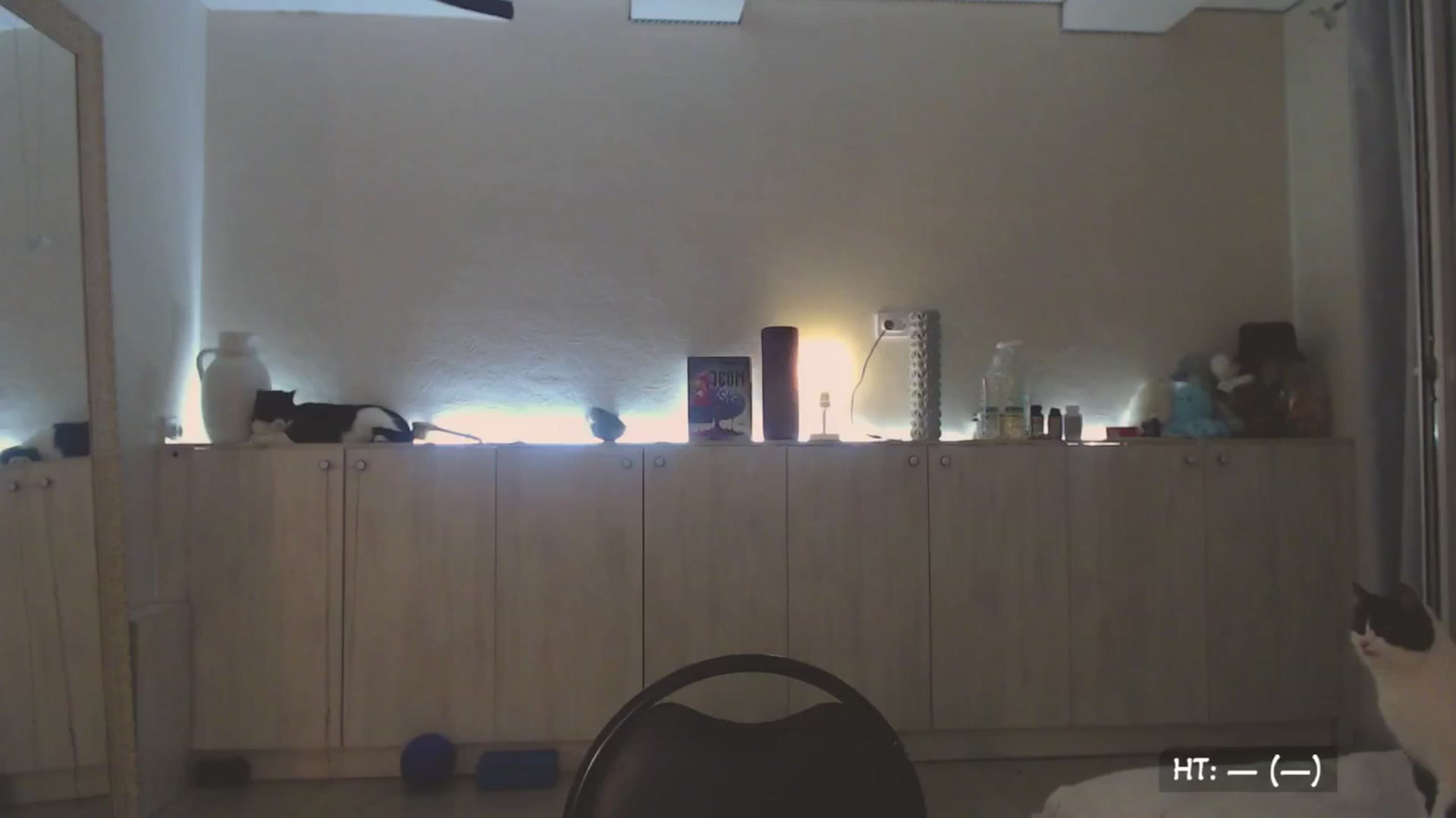 Gallery image thumbnail from Relax_'s myfreecams stream on, 09/14/2025, 02:14 image 1 of 20