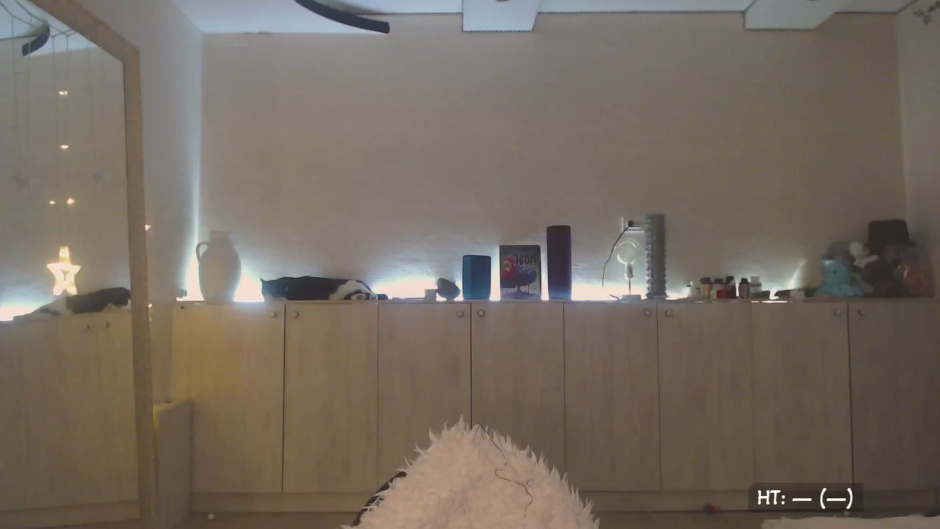Gallery image thumbnail from Relax_'s myfreecams stream on, 09/17/2025, 01:42 image 1 of 20