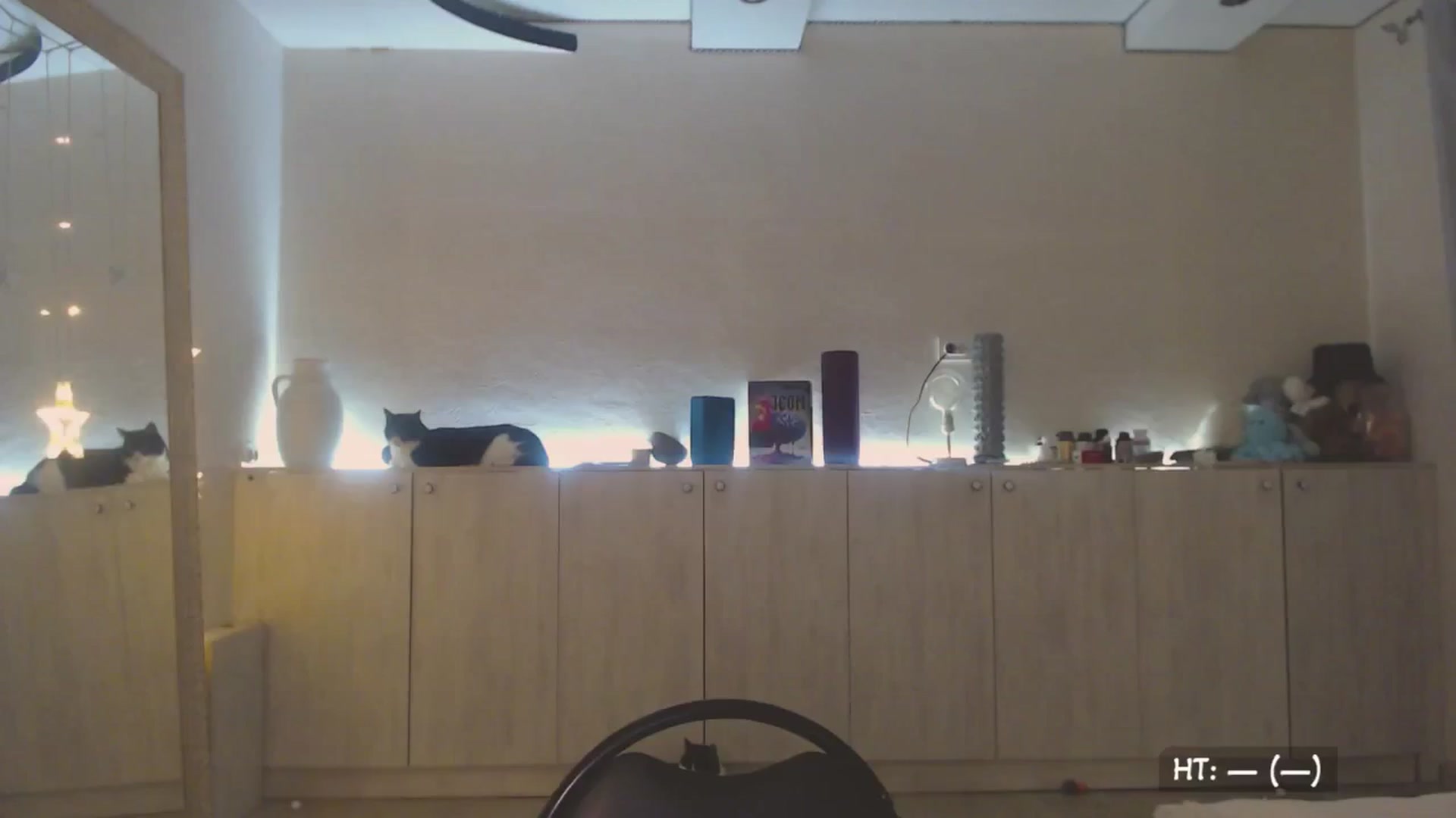 Gallery image thumbnail from Relax_'s myfreecams stream on, 09/17/2025, 01:42 image 2 of 20