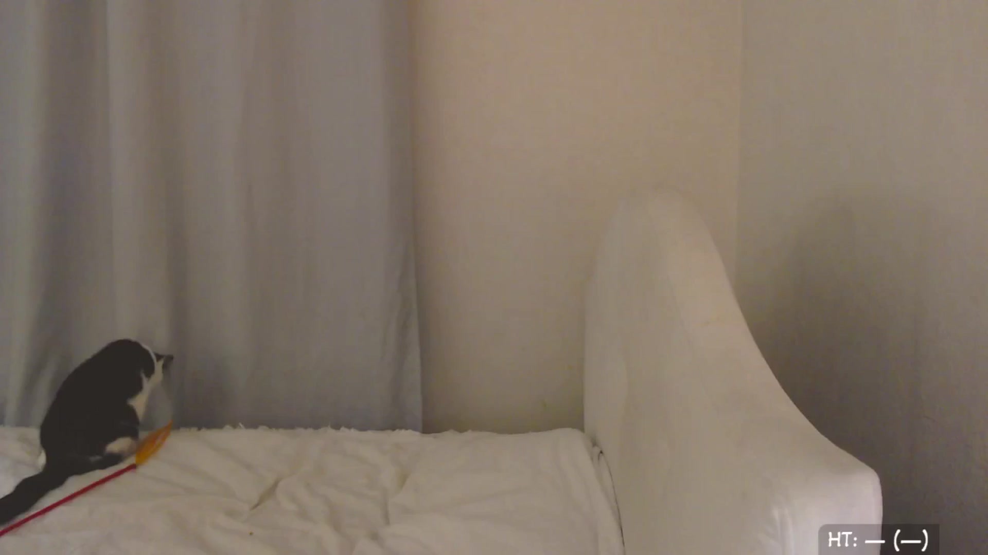 Gallery image thumbnail from Relax_'s myfreecams stream on, 09/23/2025, 01:53 image 2 of 20