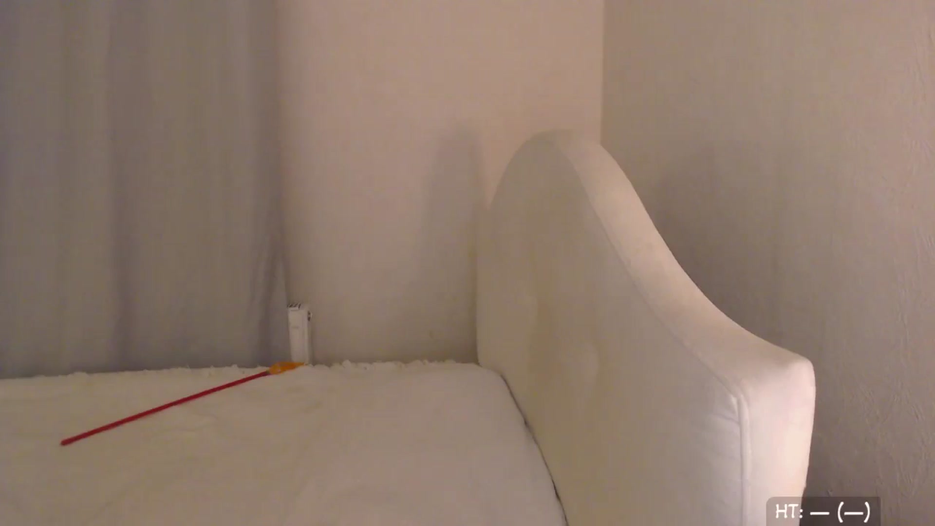 Gallery image thumbnail from Relax_'s myfreecams stream on, 09/26/2025, 01:46 image 13 of 20