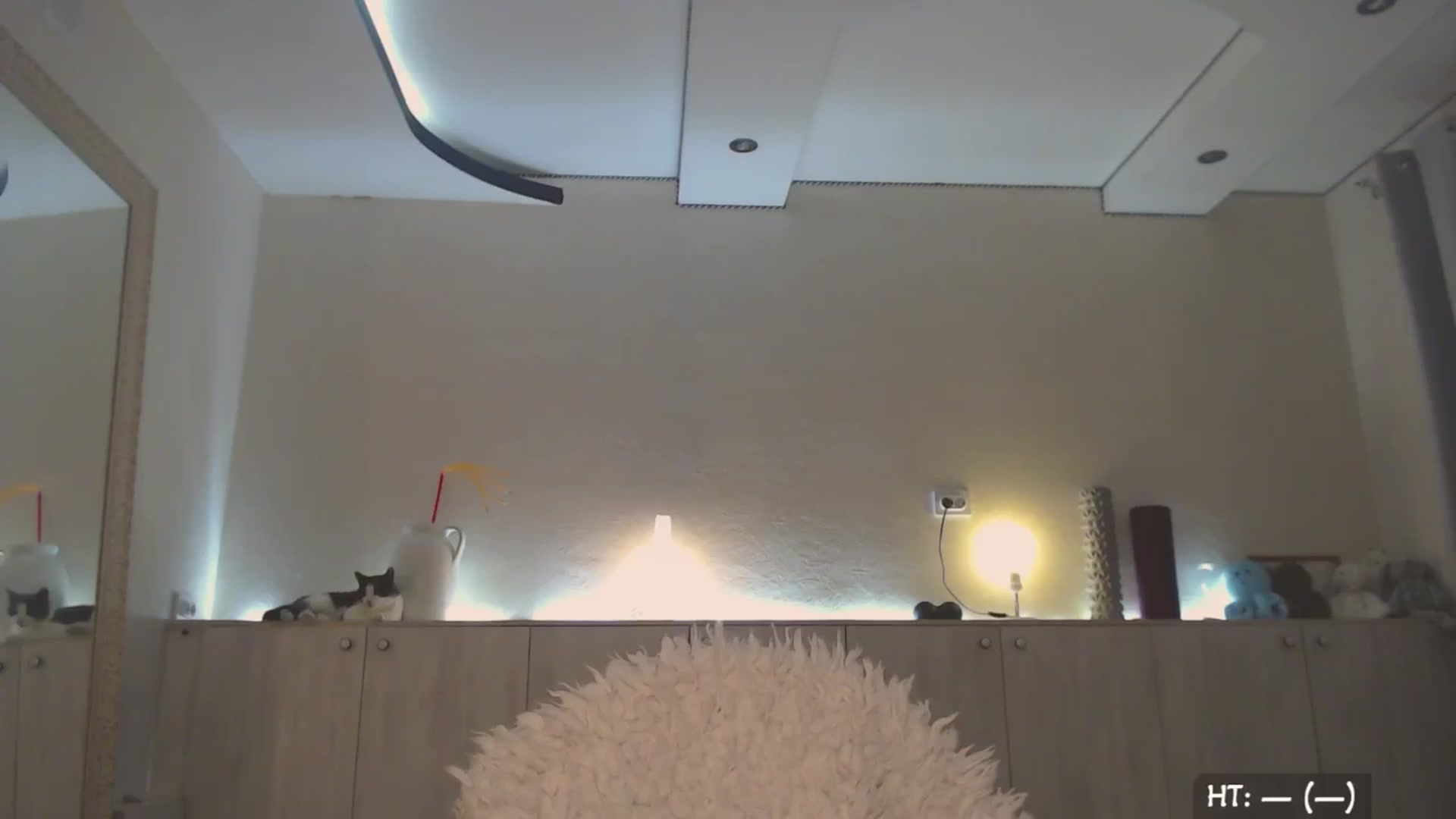 Gallery image thumbnail from Relax_'s myfreecams stream on, 10/23/2025, 01:38 image 15 of 20