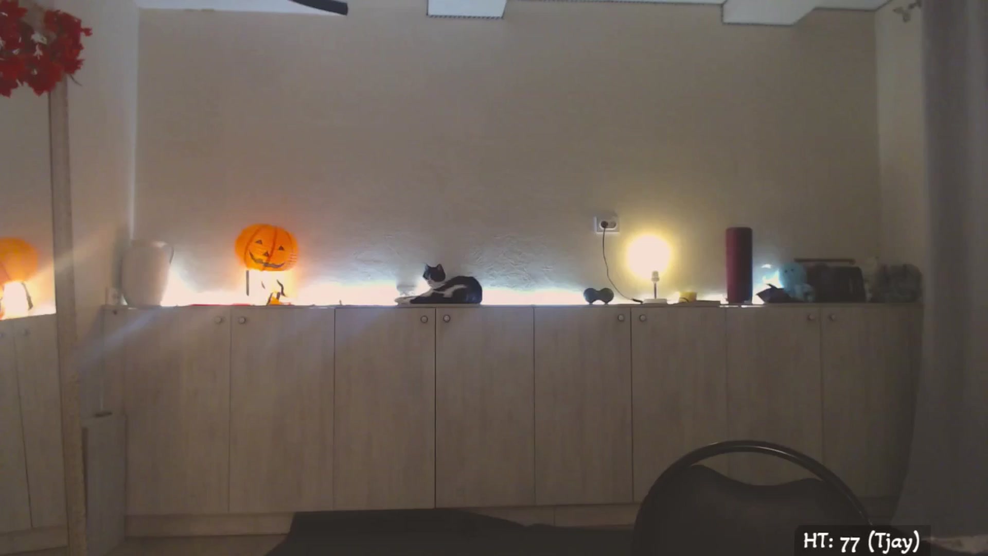 Gallery image thumbnail from Relax_'s myfreecams stream on, 10/27/2025, 02:00 image 6 of 20