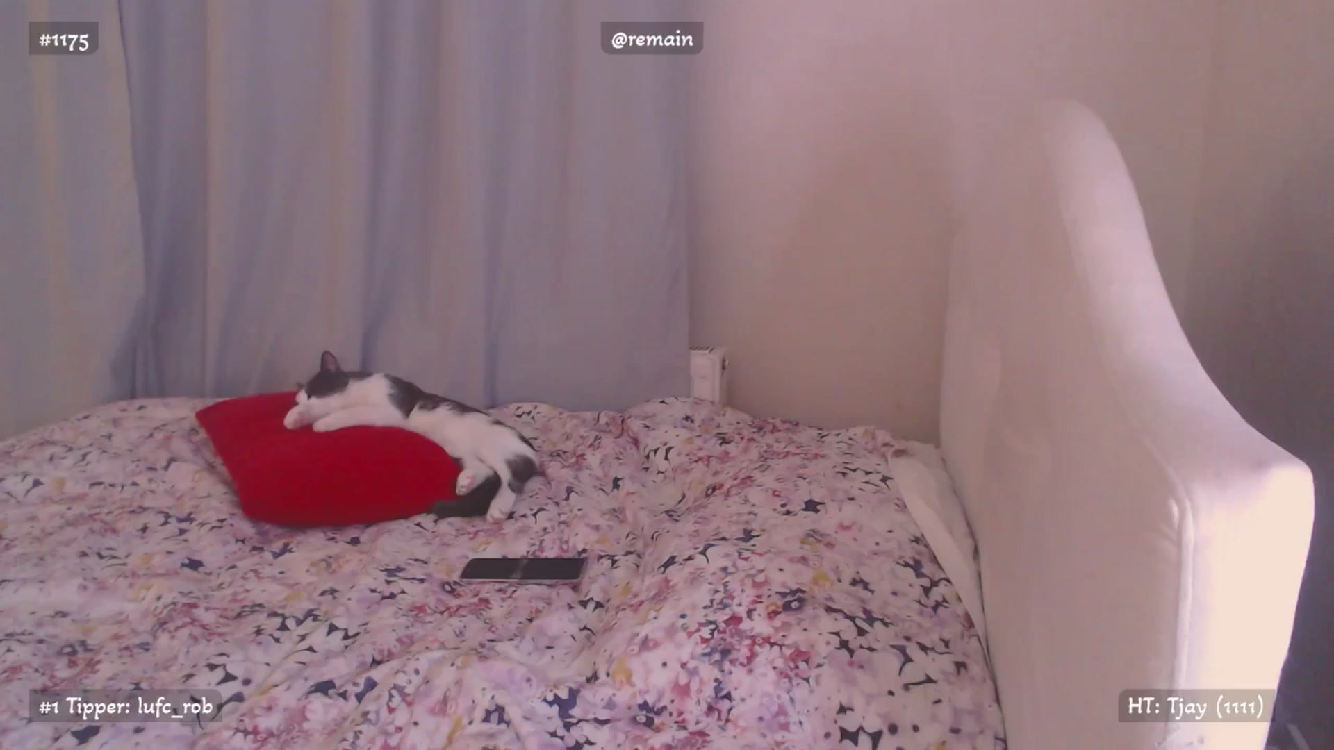 Gallery image thumbnail from Relax_'s myfreecams stream on, 10/28/2025, 01:32 image 17 of 20