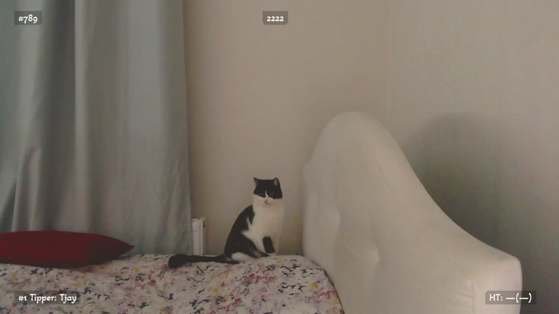 Gallery image thumbnail from Relax_'s myfreecams stream on, 11/09/2025, 01:41 image 7 of 20