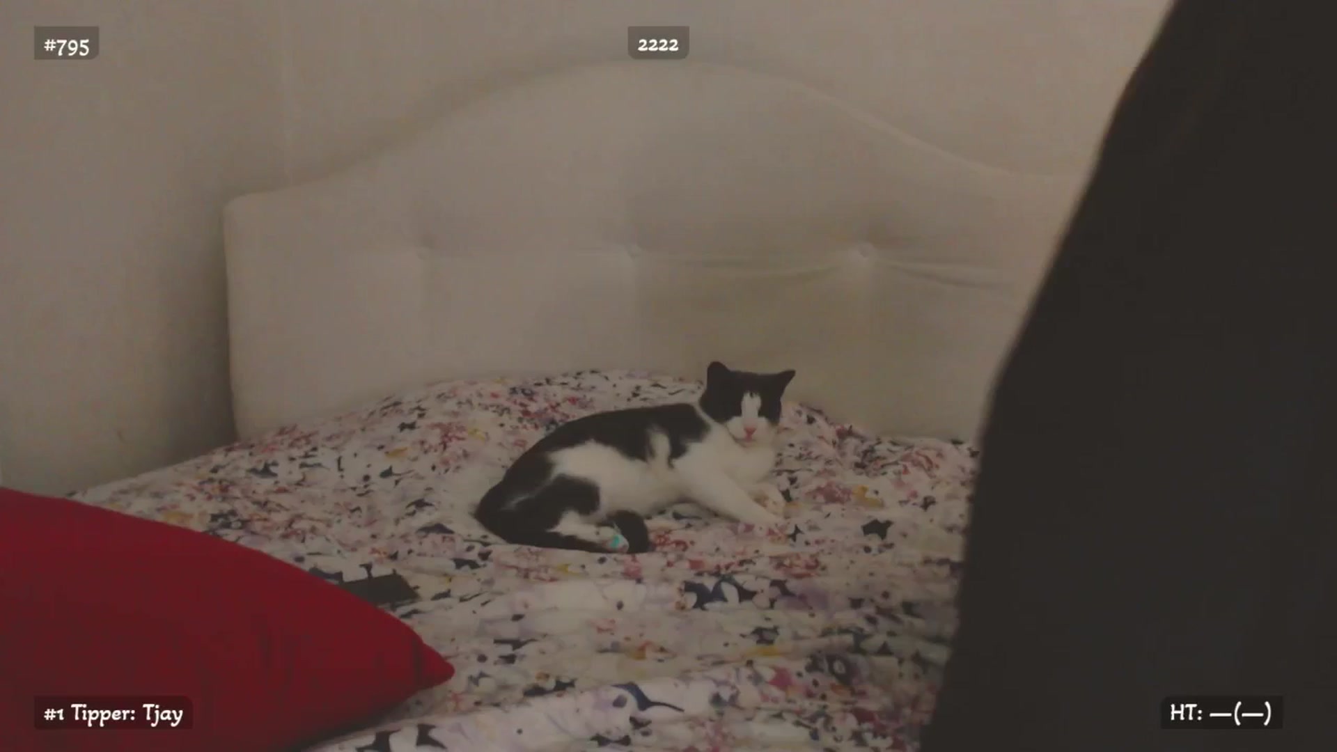 Gallery image thumbnail from Relax_'s myfreecams stream on, 11/09/2025, 01:41 image 14 of 20