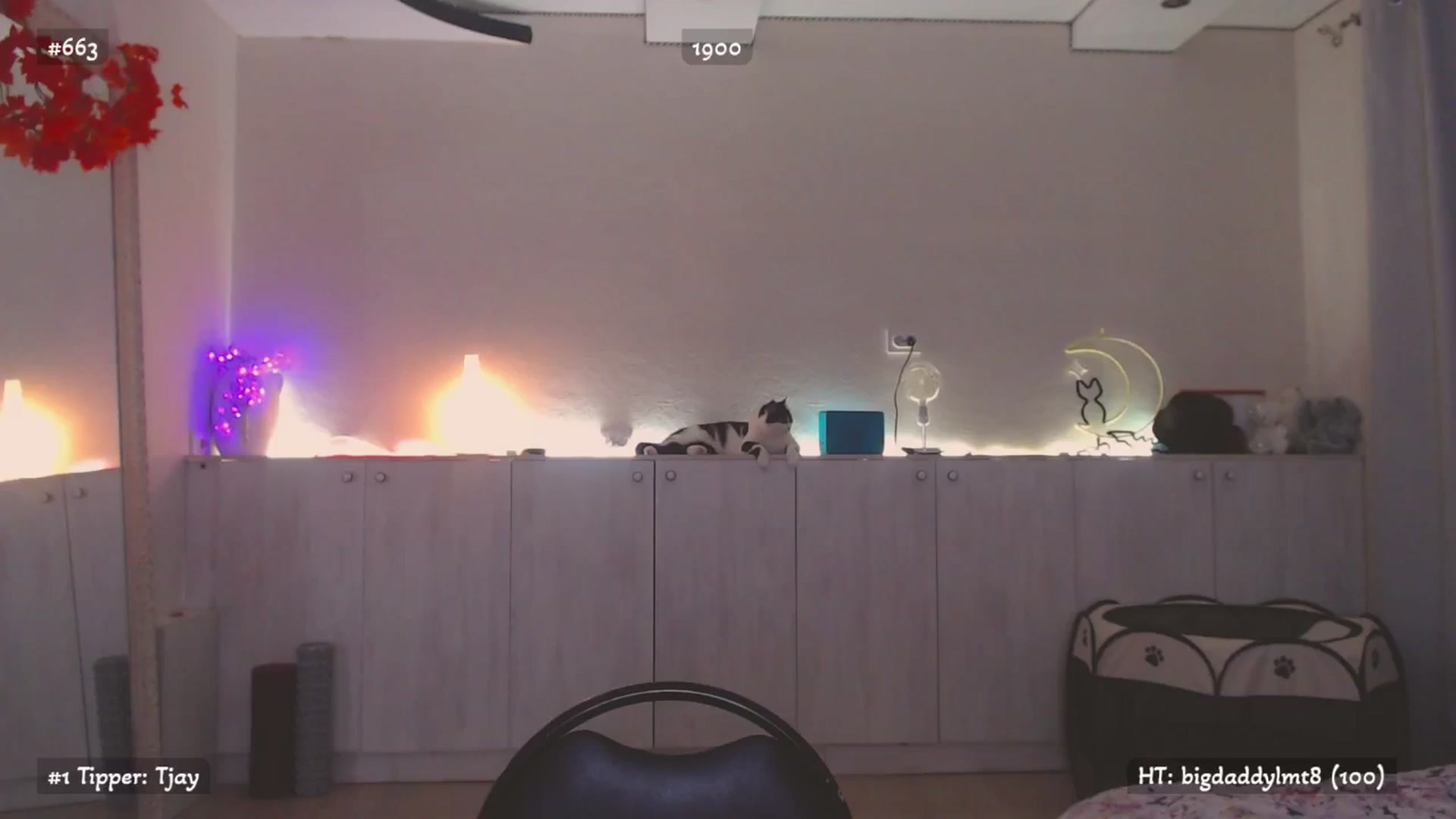 Gallery image thumbnail from Relax_'s myfreecams stream on, 11/10/2025, 01:19 image 17 of 20