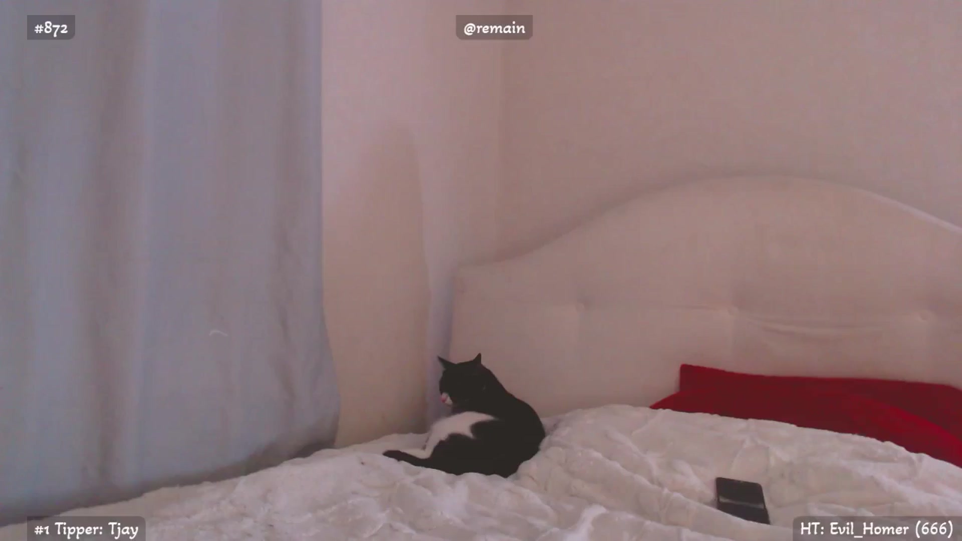 Gallery image thumbnail from Relax_'s myfreecams stream on, 04/13/2026, 03:38 image 19 of 20