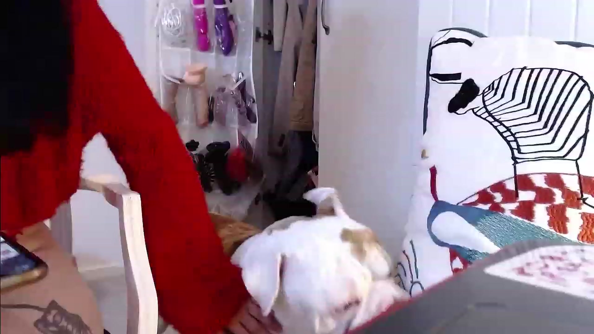 Gallery image thumbnail from RemiClem1's myfreecams stream on, 11/30/2022, 21:53 image 16 of 20