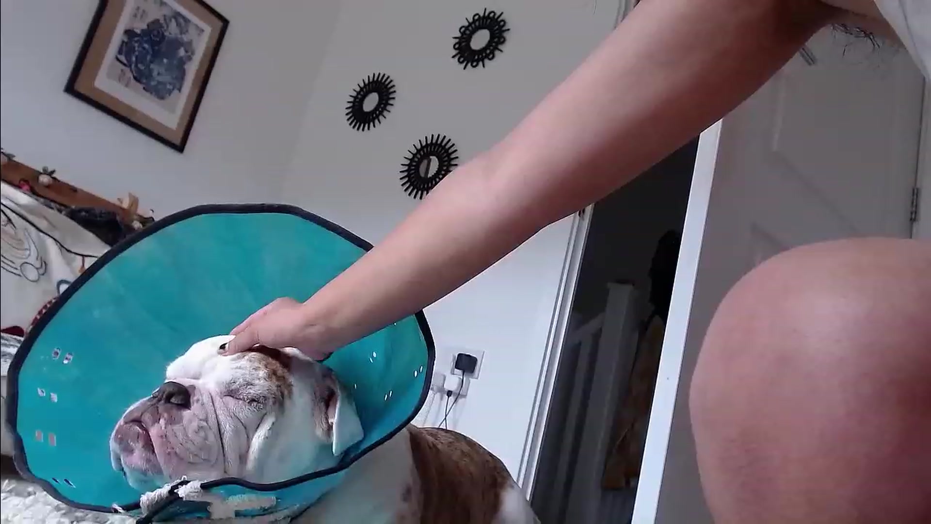 Gallery image thumbnail from Remi_ivy's myfreecams stream on, 07/19/2023, 14:54 image 20 of 20
