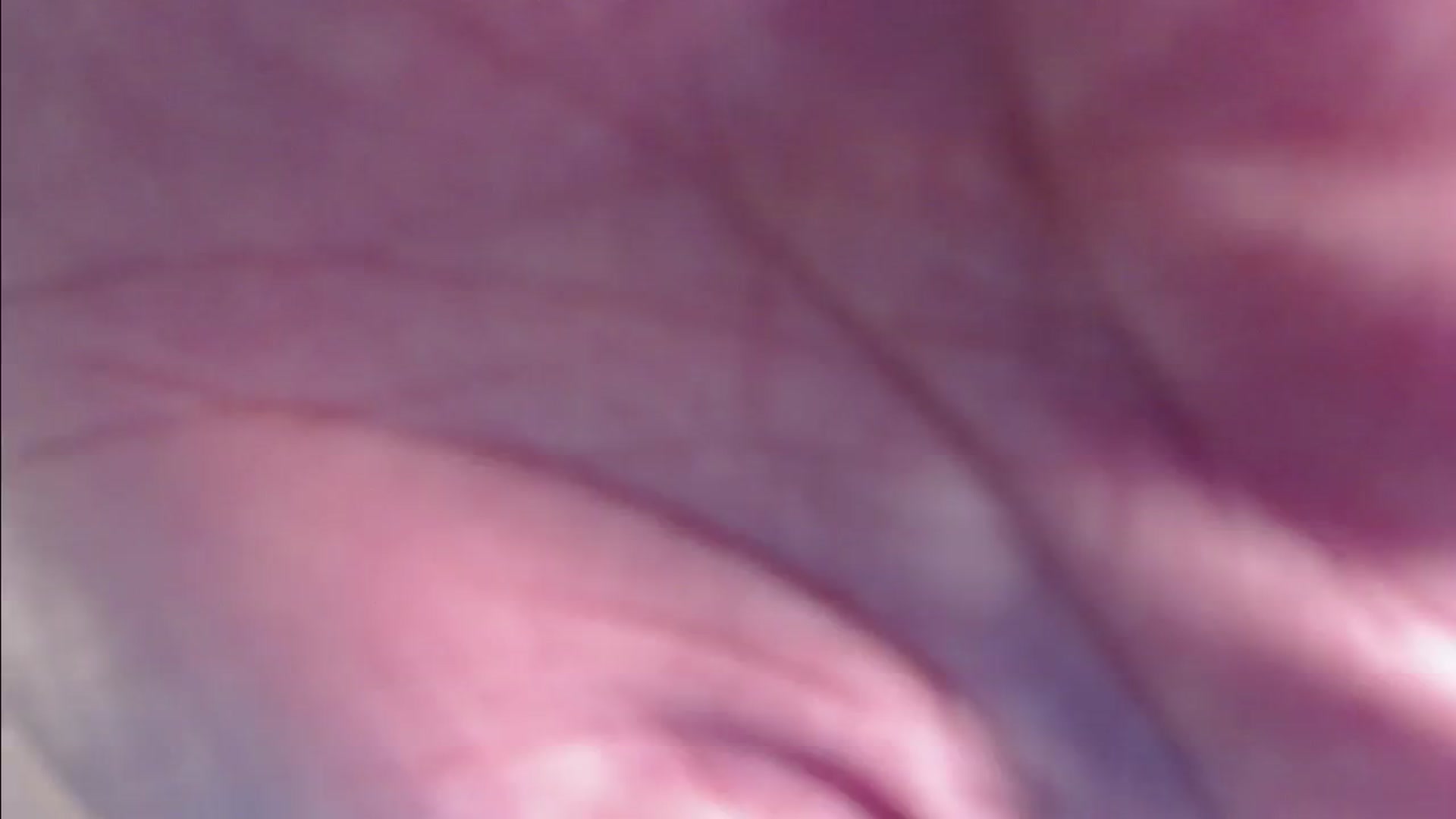 Gallery image thumbnail from Remi_ivy's myfreecams stream on, 11/04/2024, 15:57 image 19 of 20
