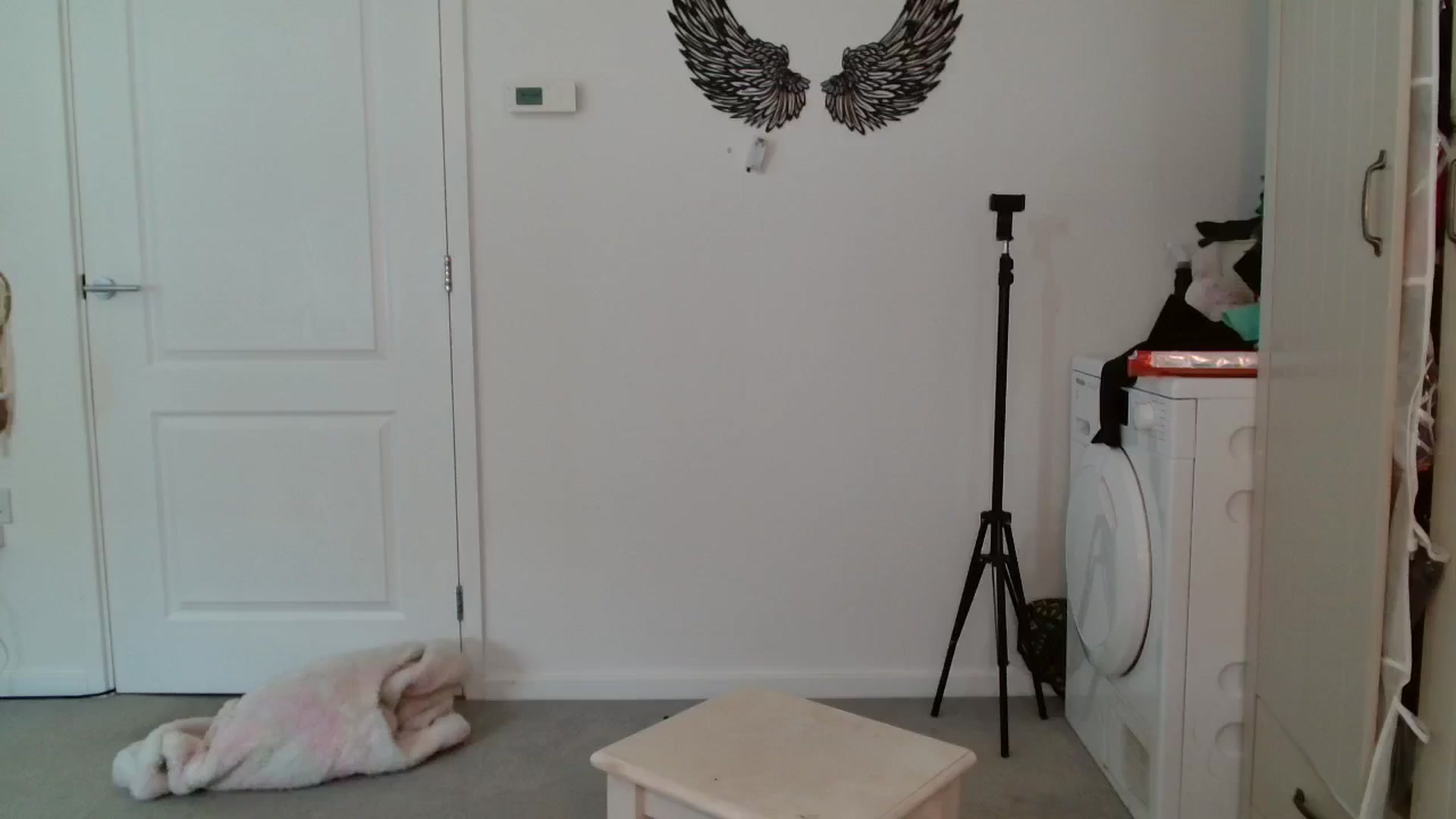 Gallery image thumbnail from Remi_ivy's myfreecams stream on, 06/16/2025, 13:33 image 12 of 20