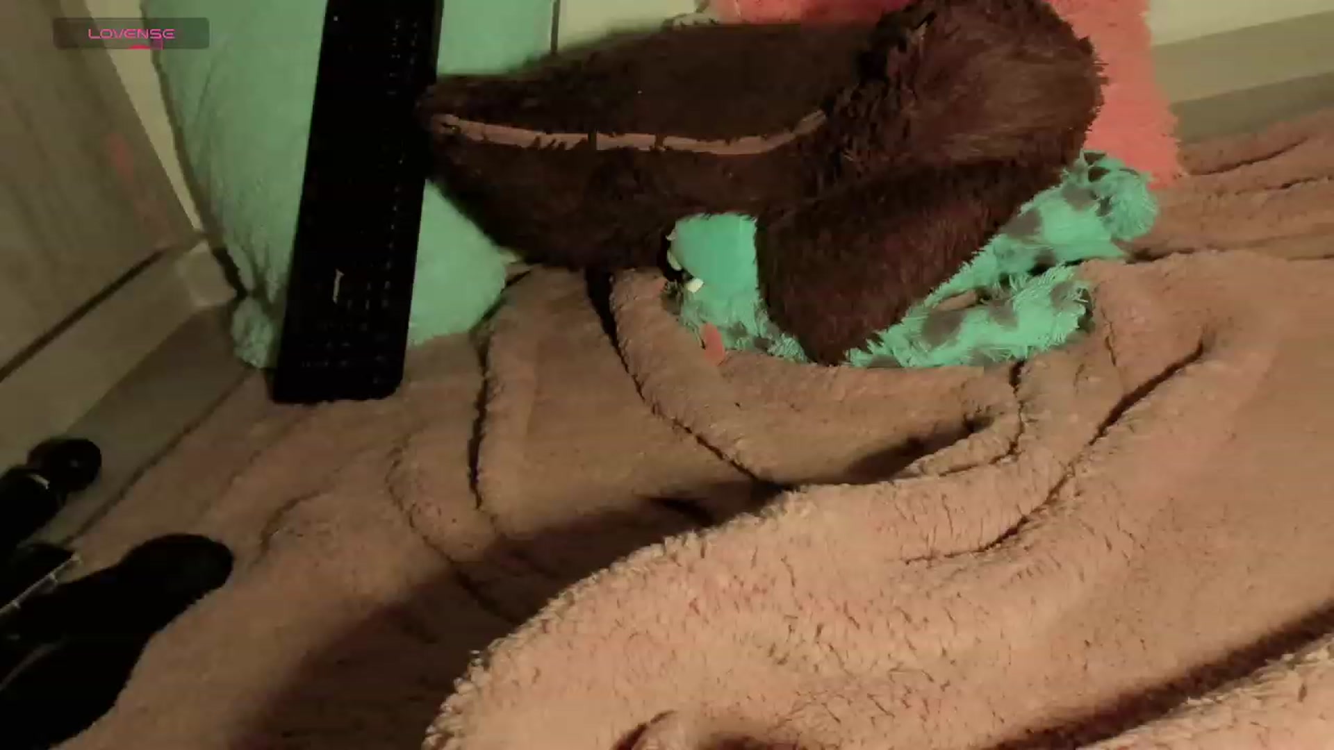 Gallery image thumbnail from RenataFih0or_'s myfreecams stream on, 01/02/2024, 16:14 image 6 of 20