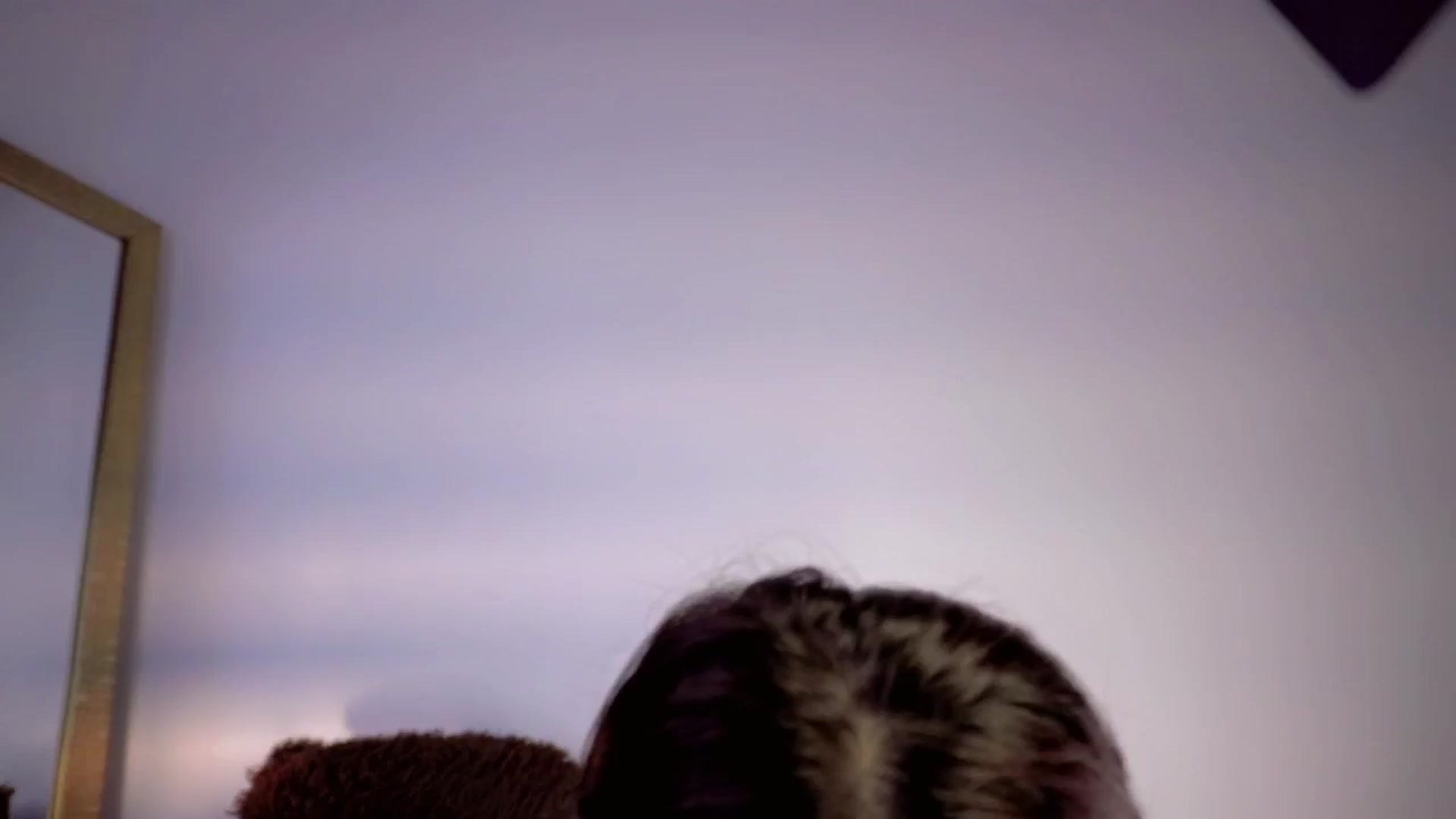 Gallery image thumbnail from RenataFih0or_'s myfreecams stream on, 06/09/2024, 17:00 image 5 of 20