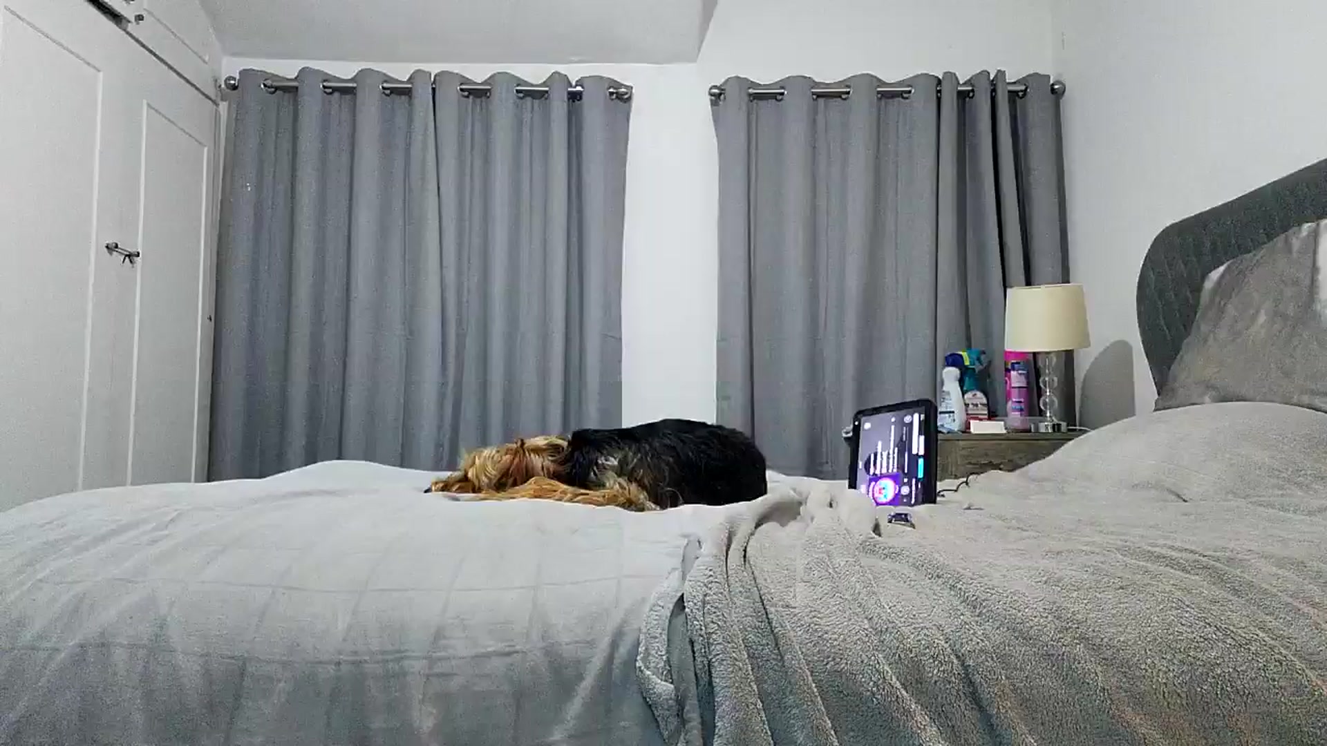 Gallery image thumbnail from RiaDiculous's myfreecams stream on, 08/04/2025, 24:44 image 12 of 20
