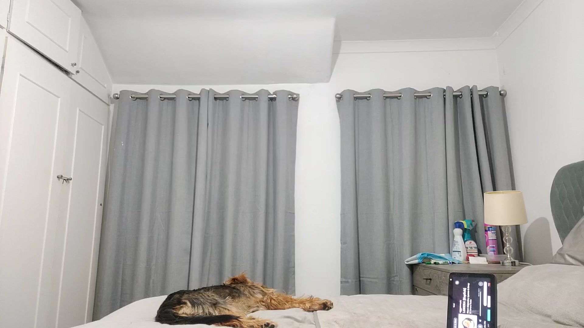 Gallery image thumbnail from RiaDiculous's myfreecams stream on, 08/08/2025, 01:18 image 13 of 20