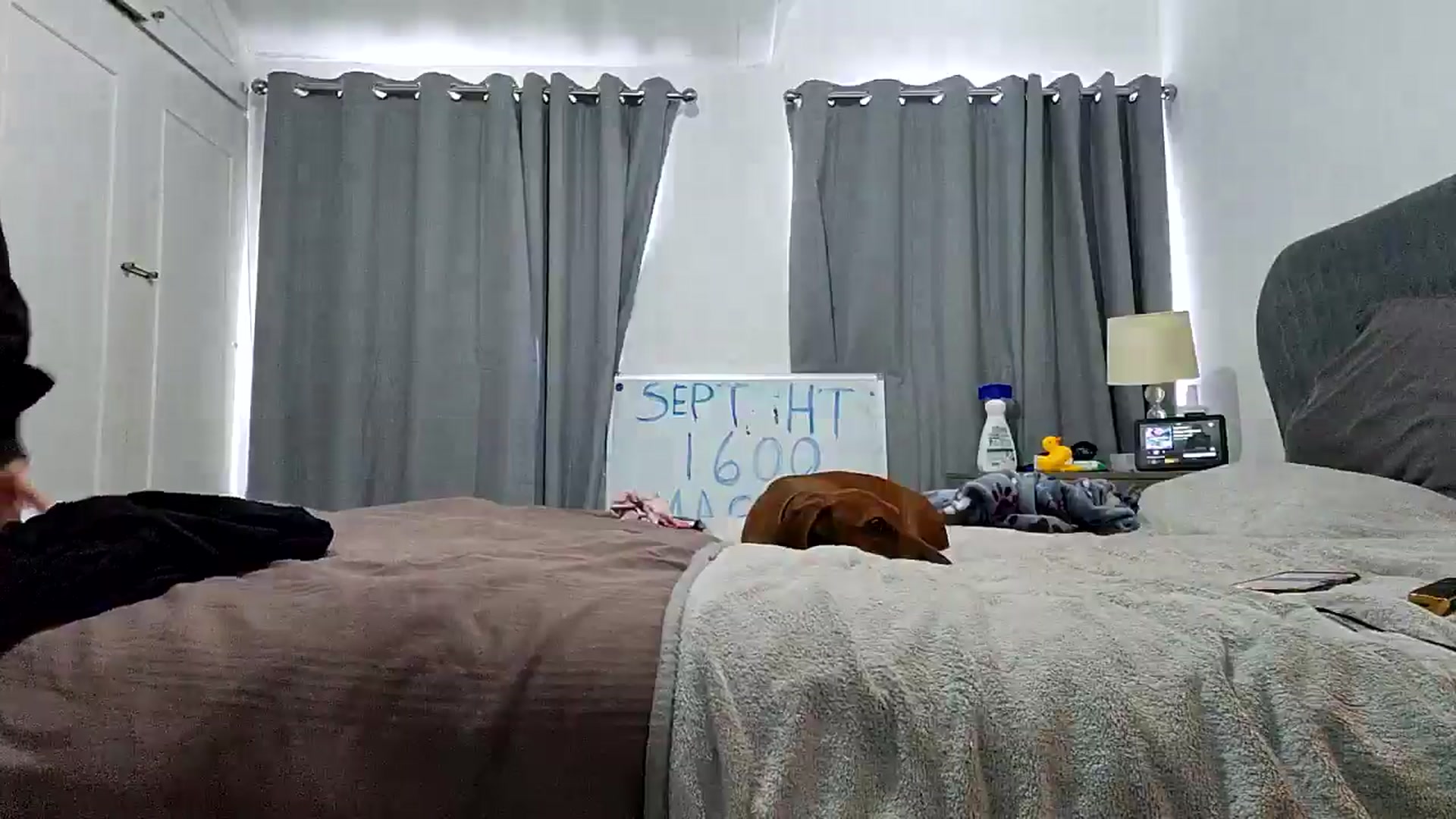 Gallery image thumbnail from RiaMartinez's myfreecams stream on, 09/17/2024, 11:32 image 5 of 20