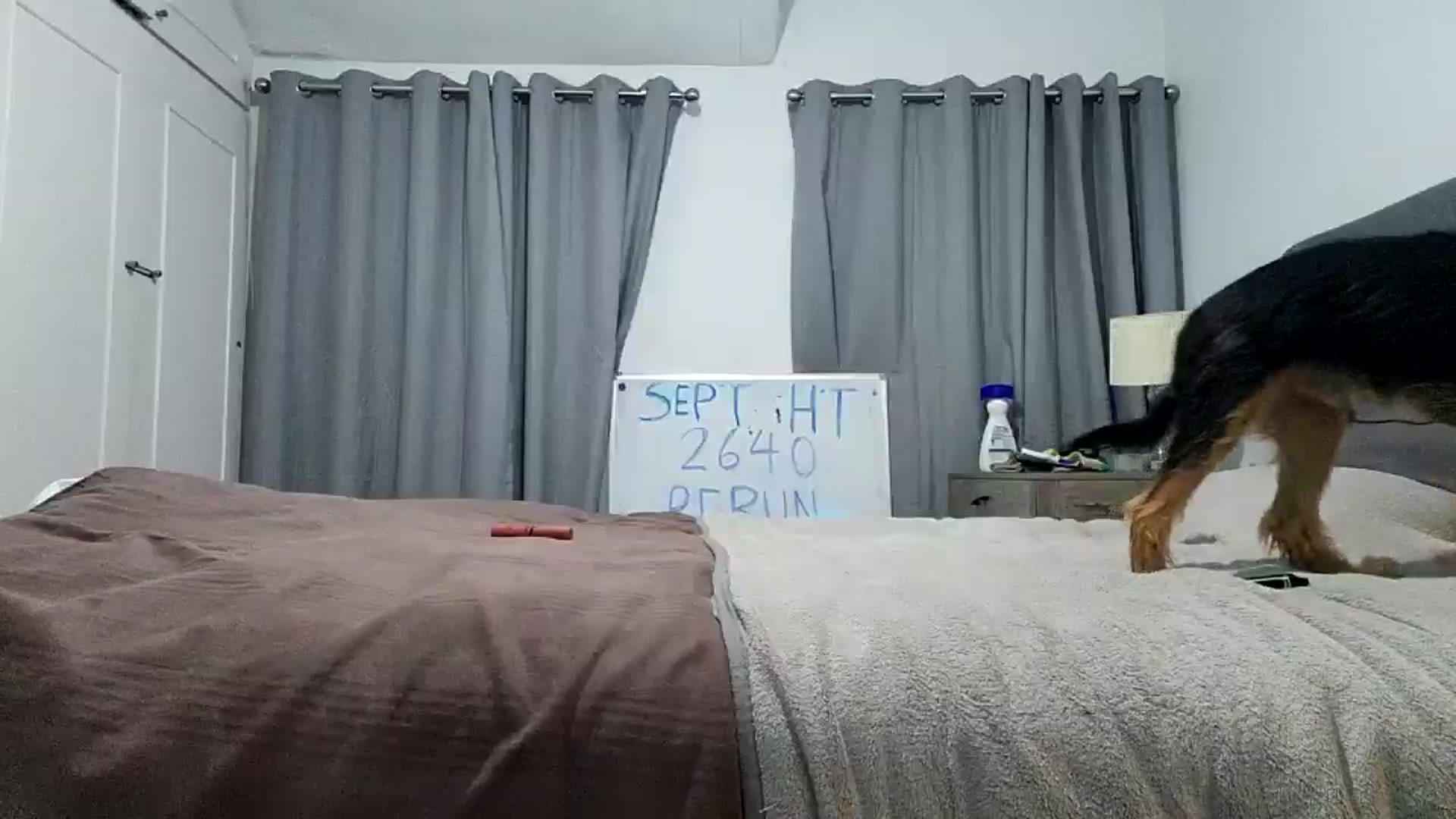 Gallery image thumbnail from RiaMartinez's myfreecams stream on, 09/18/2024, 23:17 image 10 of 20