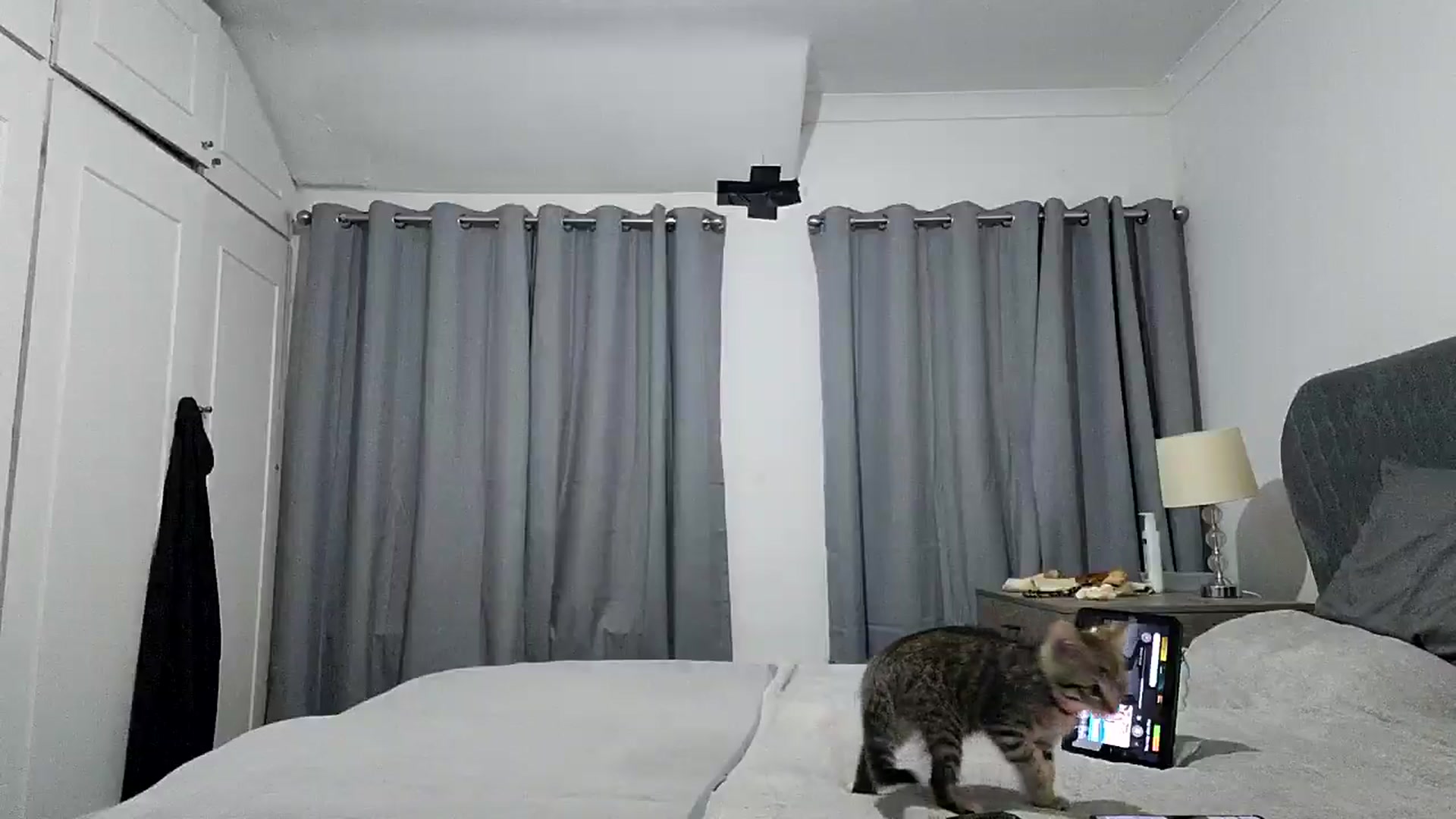 Gallery image thumbnail from RiaMartinez's myfreecams stream on, 05/04/2025, 23:14 image 17 of 20