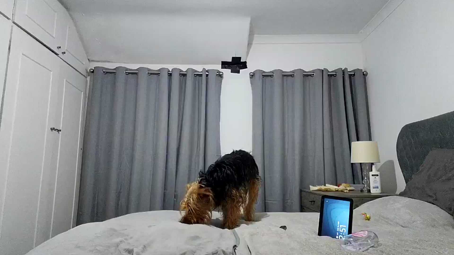 Gallery image thumbnail from RiaMartinez's myfreecams stream on, 05/24/2025, 01:59 image 16 of 20