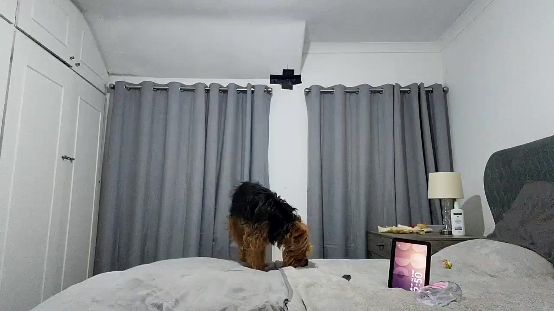 Gallery image thumbnail from RiaMartinez's myfreecams stream on, 05/24/2025, 01:59 image 15 of 20