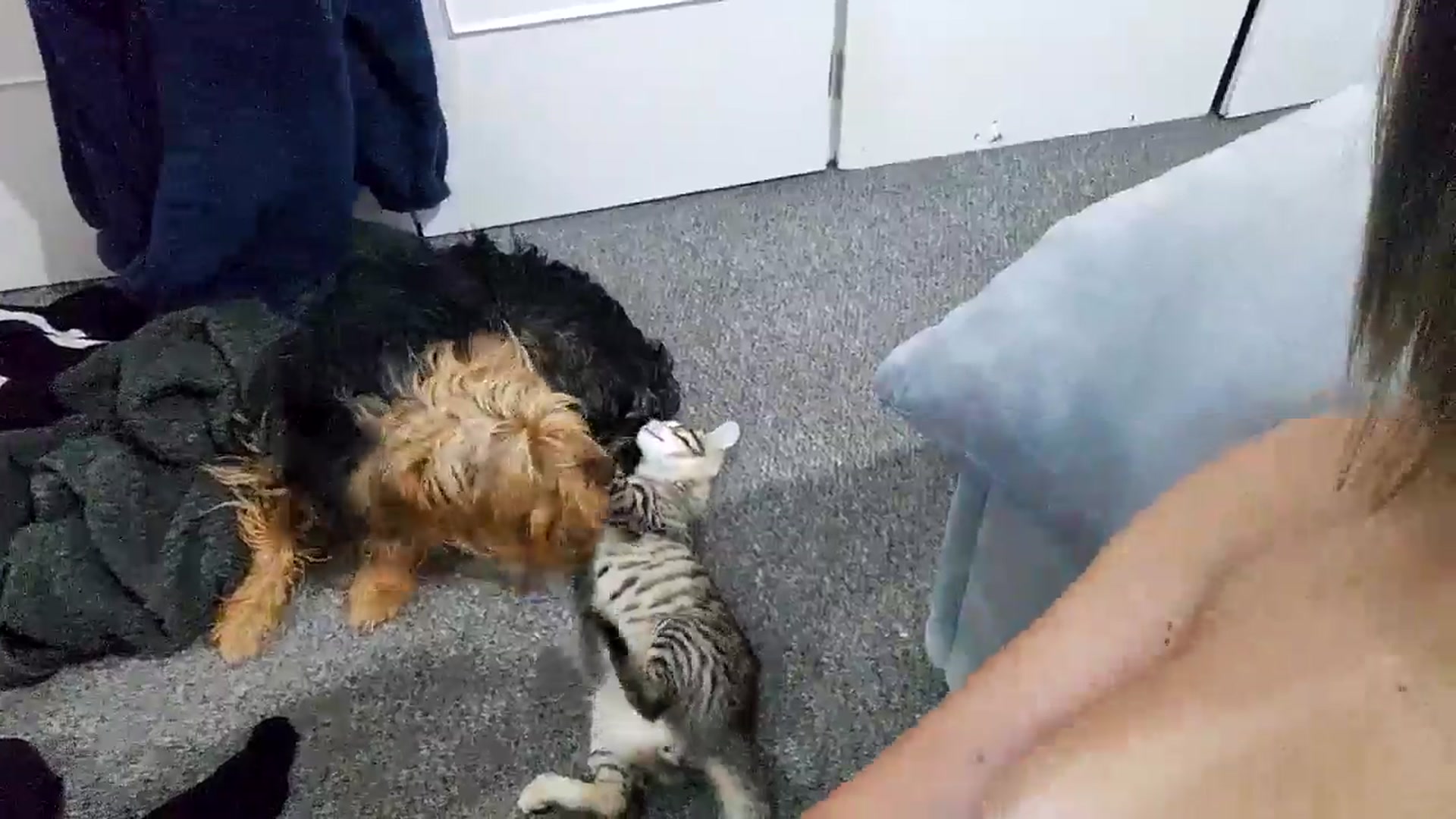Gallery image thumbnail from RiaMartinez's myfreecams stream on, 05/27/2025, 22:43 image 12 of 20