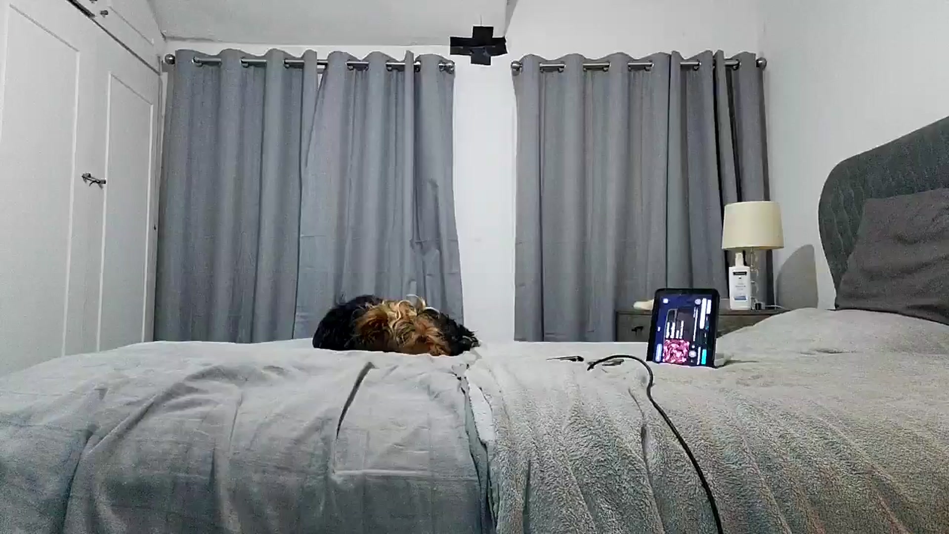 Gallery image thumbnail from RiaMartinez's myfreecams stream on, 05/28/2025, 01:27 image 3 of 20