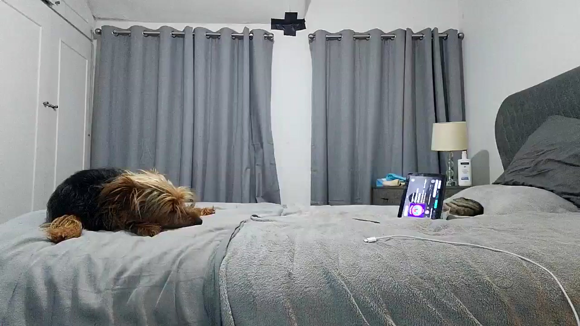 Gallery image thumbnail from RiaMartinez's myfreecams stream on, 06/02/2025, 01:11 image 9 of 20
