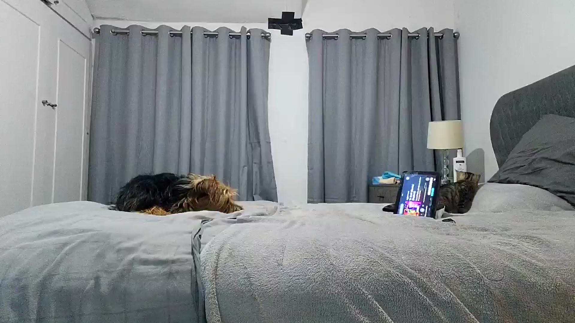 Gallery image thumbnail from RiaMartinez's myfreecams stream on, 06/02/2025, 03:20 image 9 of 20