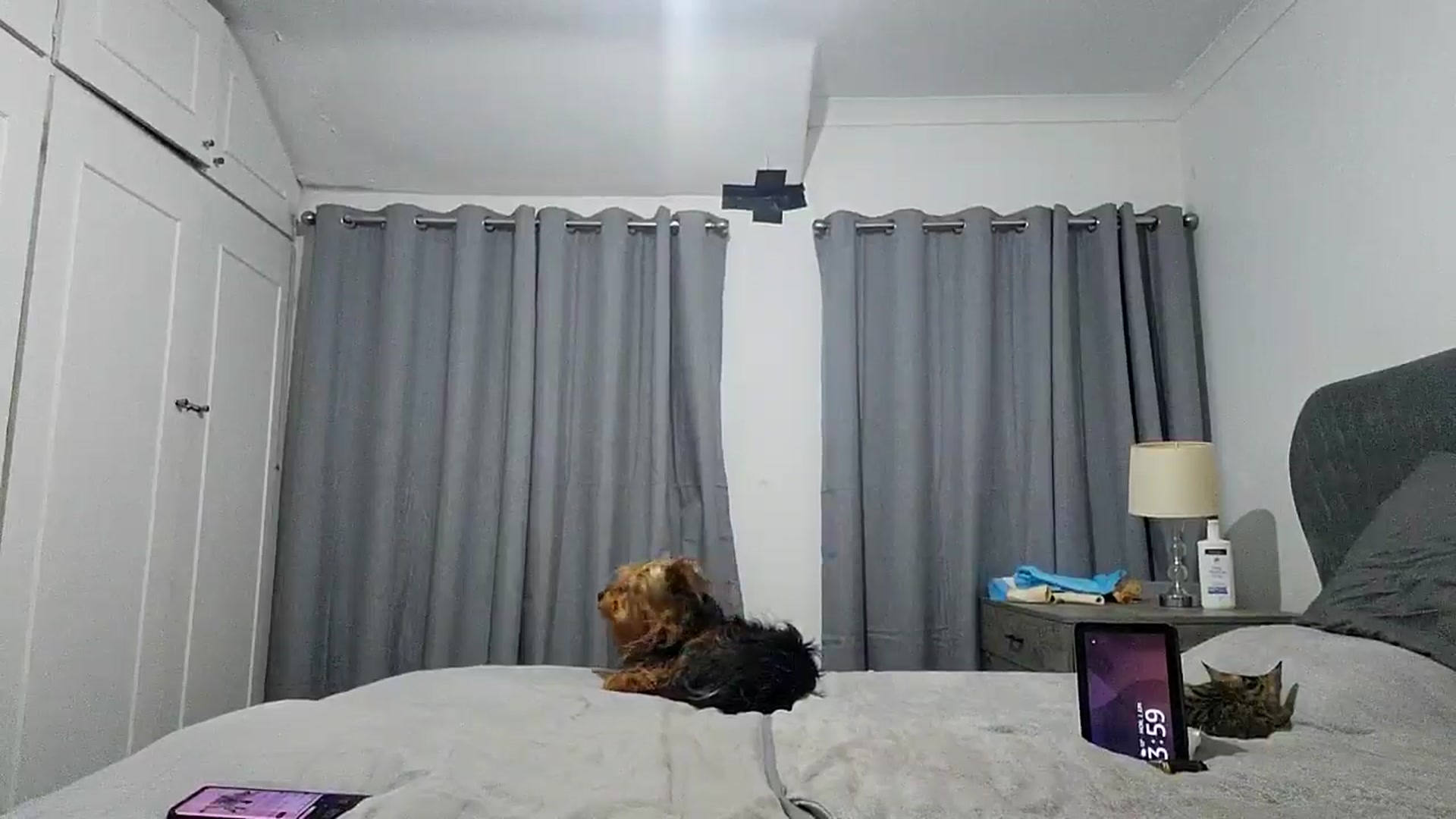 Gallery image thumbnail from RiaMartinez's myfreecams stream on, 06/02/2025, 03:47 image 12 of 20