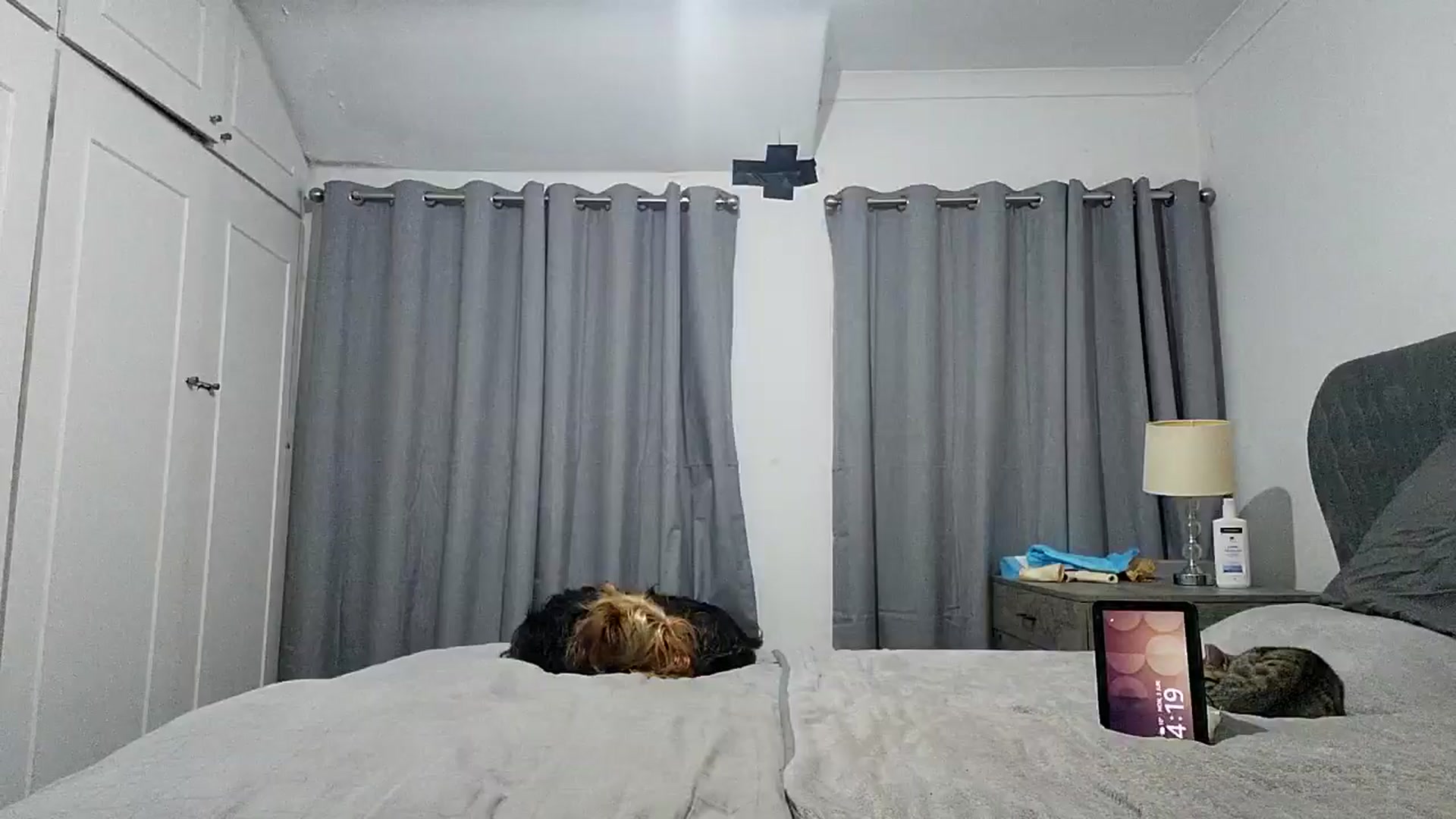 Gallery image thumbnail from RiaMartinez's myfreecams stream on, 06/02/2025, 03:47 image 17 of 20