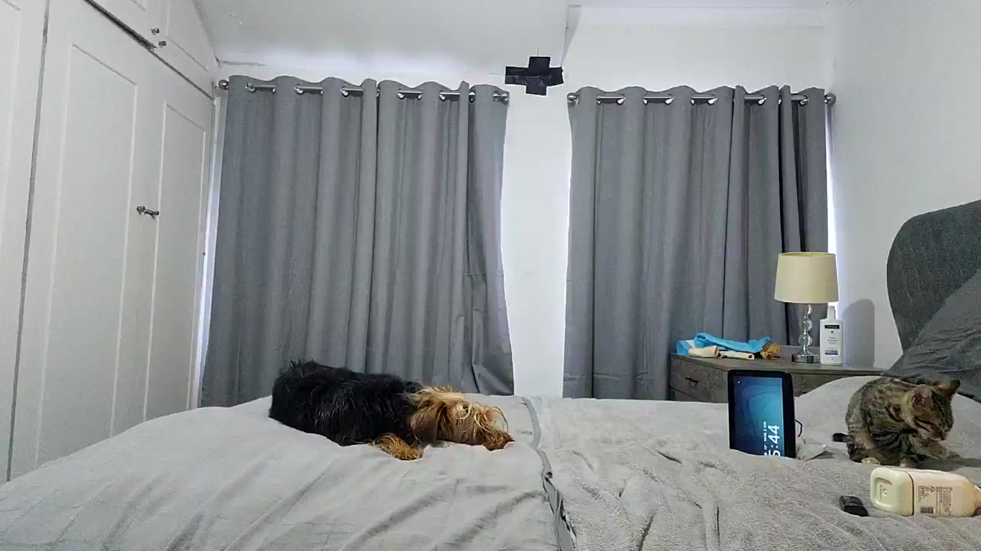 Gallery image thumbnail from RiaMartinez's myfreecams stream on, 06/02/2025, 04:59 image 6 of 20