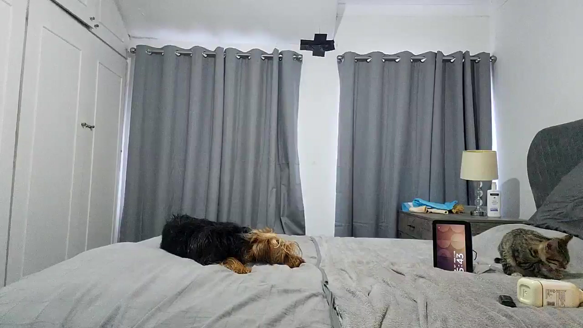 Gallery image thumbnail from RiaMartinez's myfreecams stream on, 06/02/2025, 04:59 image 5 of 20