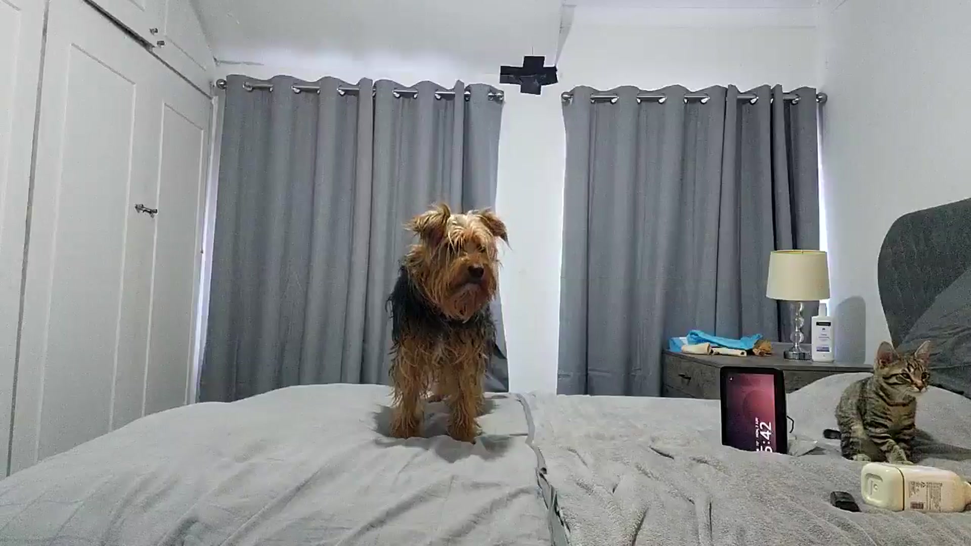 Gallery image thumbnail from RiaMartinez's myfreecams stream on, 06/02/2025, 04:59 image 4 of 20