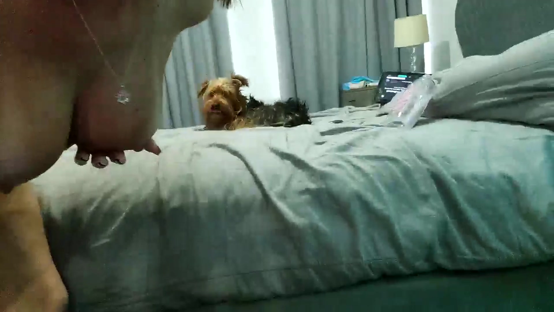 Gallery image thumbnail from RiaMartinez's myfreecams stream on, 06/08/2025, 05:39 image 19 of 20