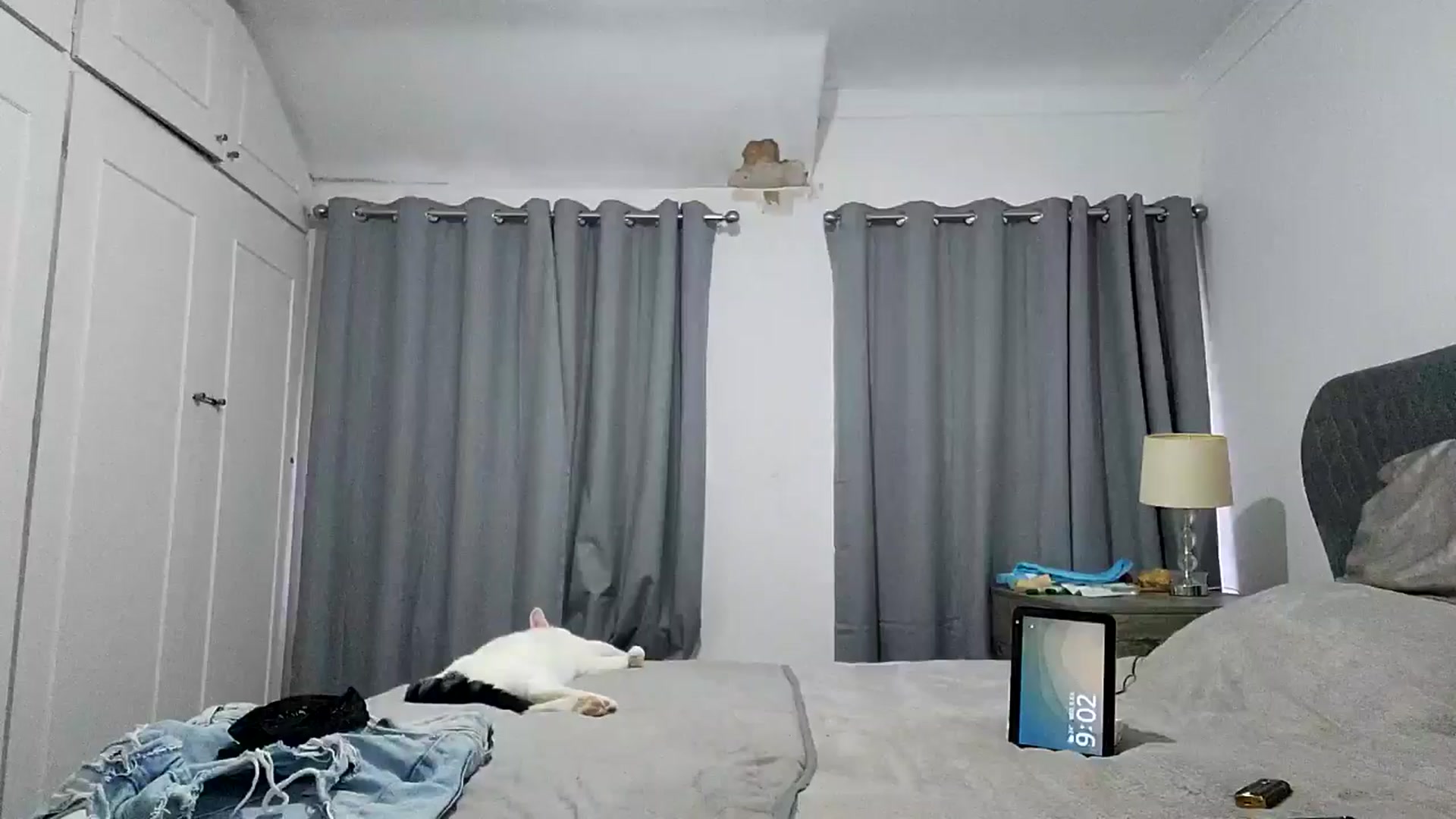 Gallery image thumbnail from RiaMartinez's myfreecams stream on, 07/09/2025, 20:08 image 1 of 20