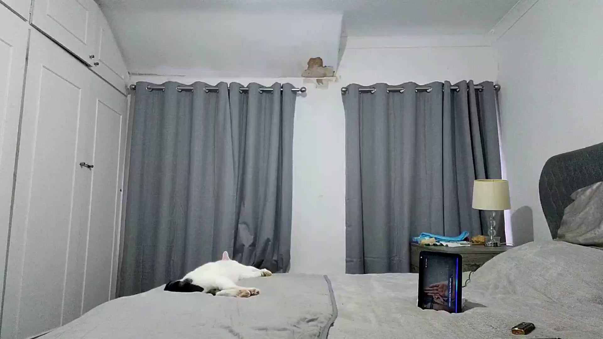 Gallery image thumbnail from RiaMartinez's myfreecams stream on, 07/09/2025, 20:08 image 18 of 20