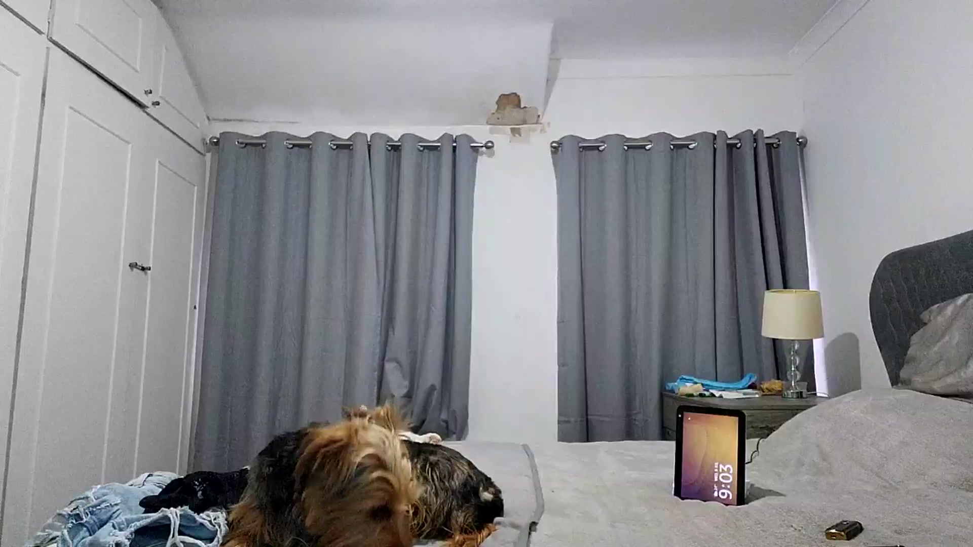 Gallery image thumbnail from RiaMartinez's myfreecams stream on, 07/09/2025, 20:08 image 3 of 20