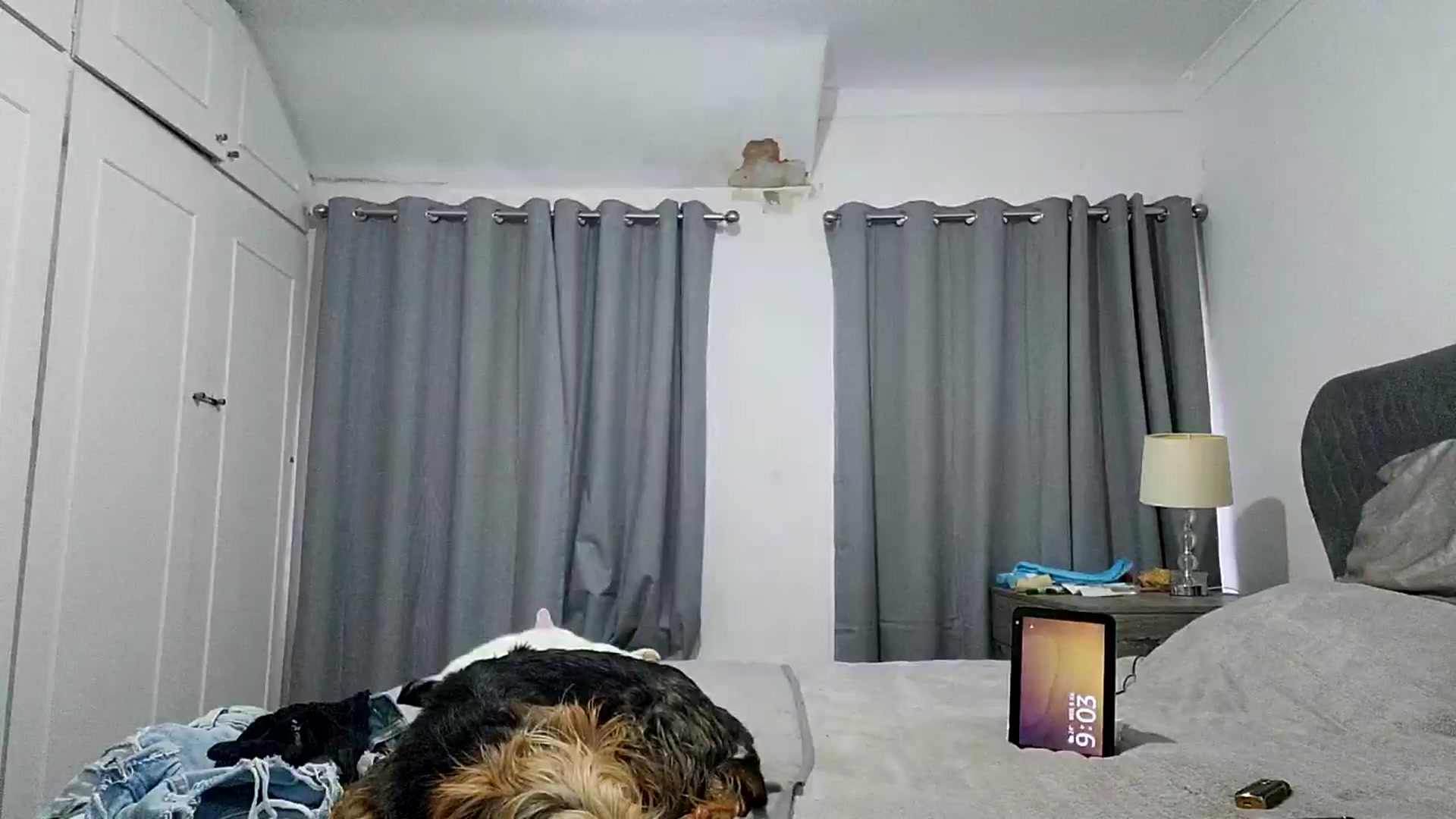 Gallery image thumbnail from RiaMartinez's myfreecams stream on, 07/09/2025, 20:08 image 6 of 20